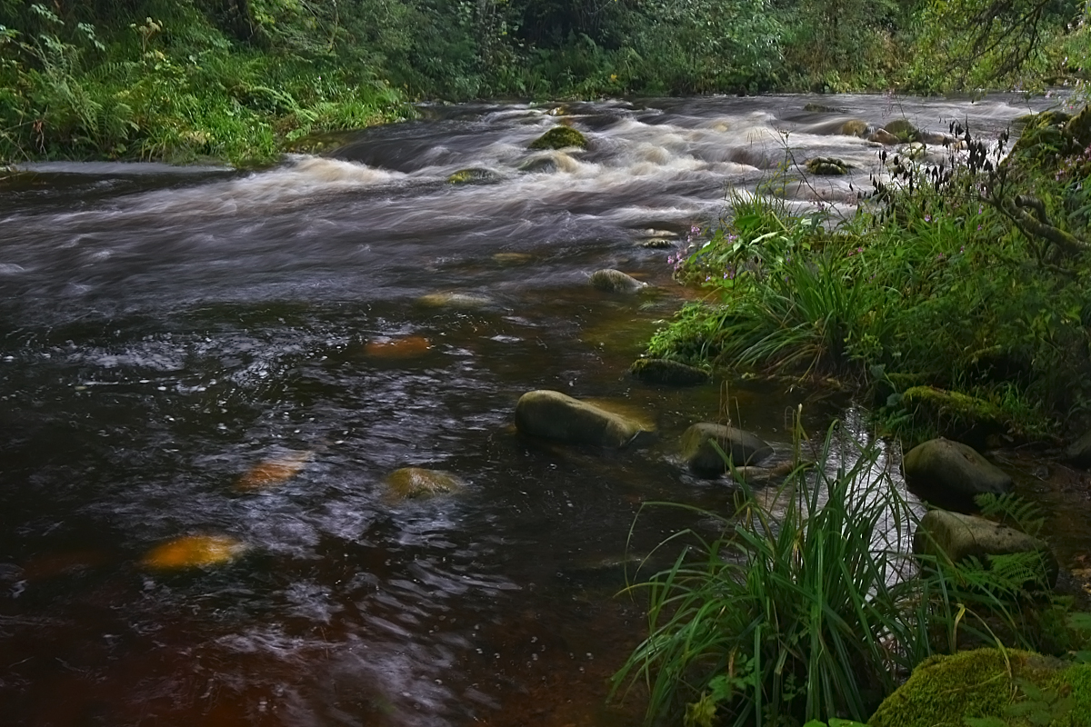 Moorfluss