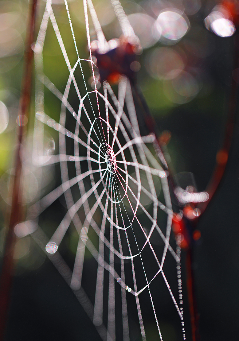 Herbstspirale