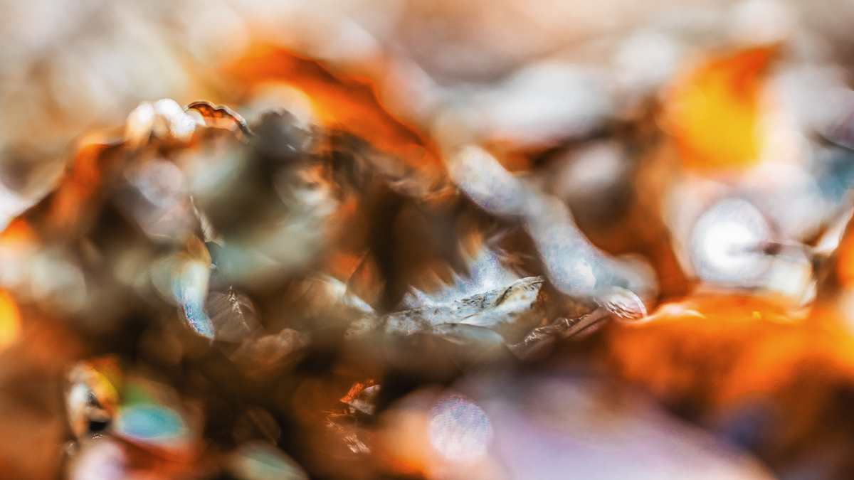 Farben des Herbstes