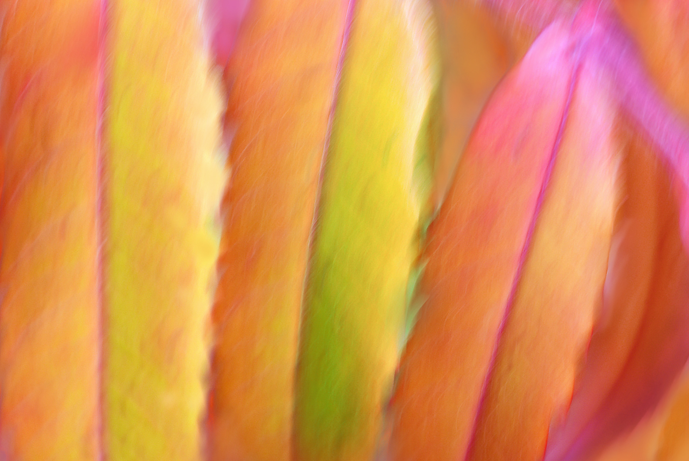 Herbstfarben ..,