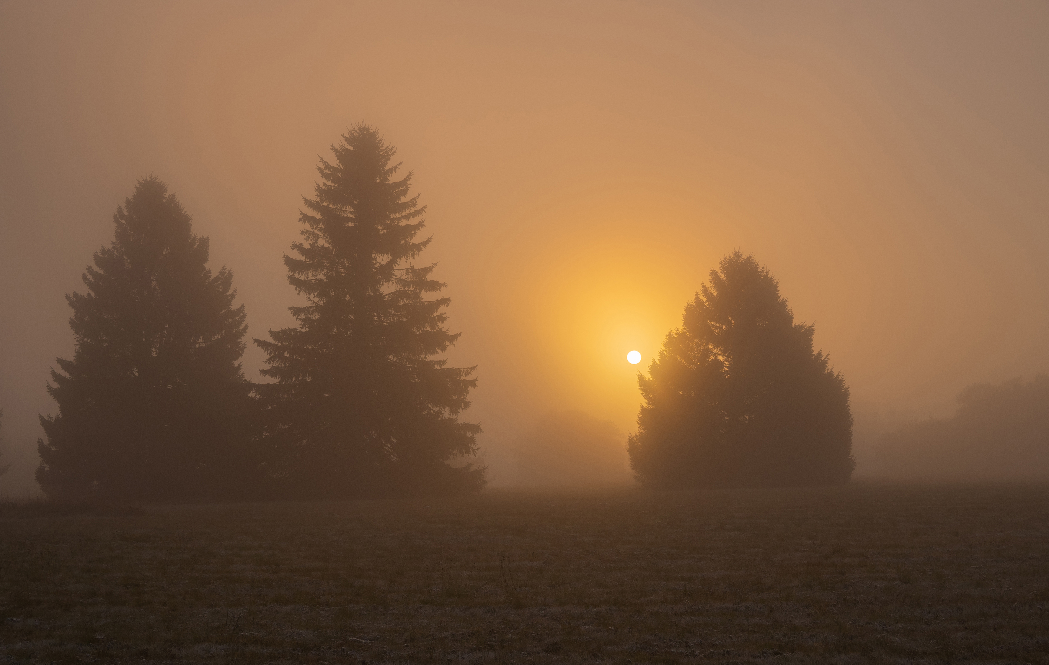 Herbstnebel