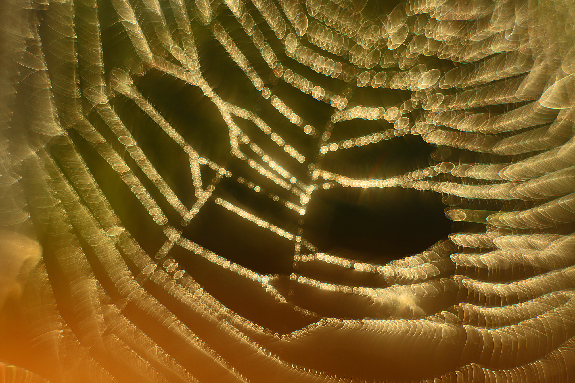 Lichtnetz