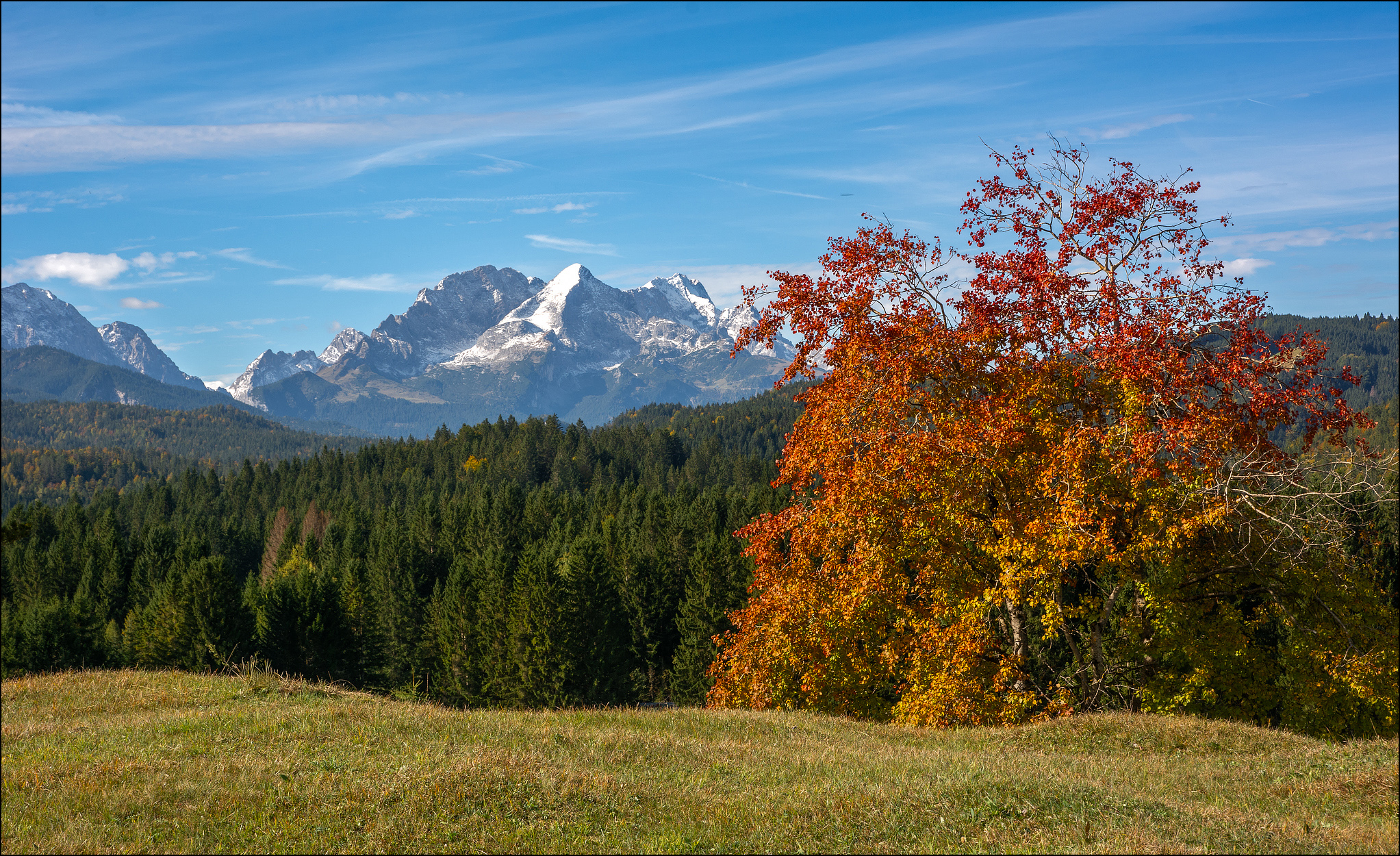 es herbstld