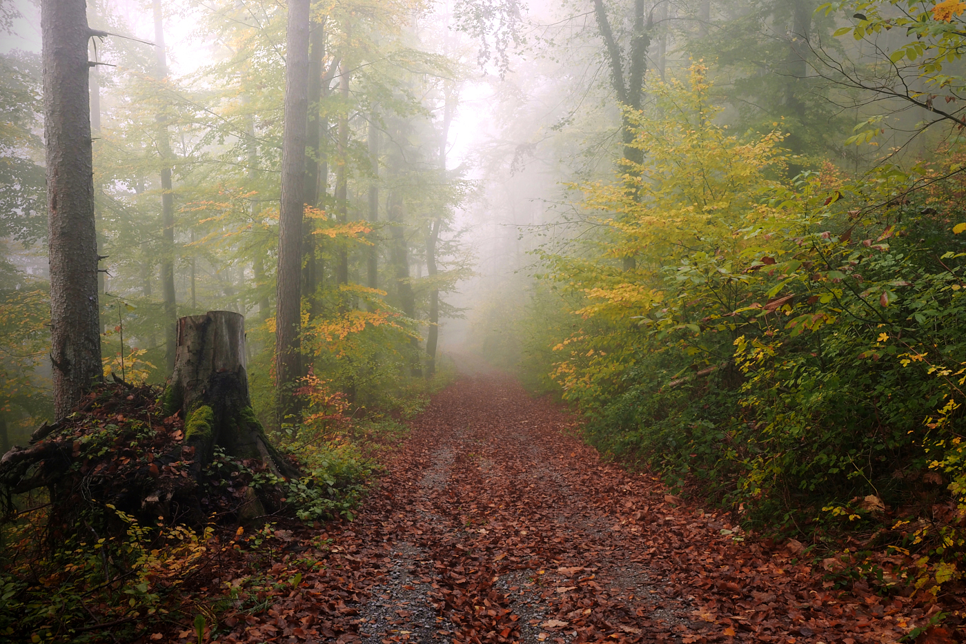 Herbstfarben
