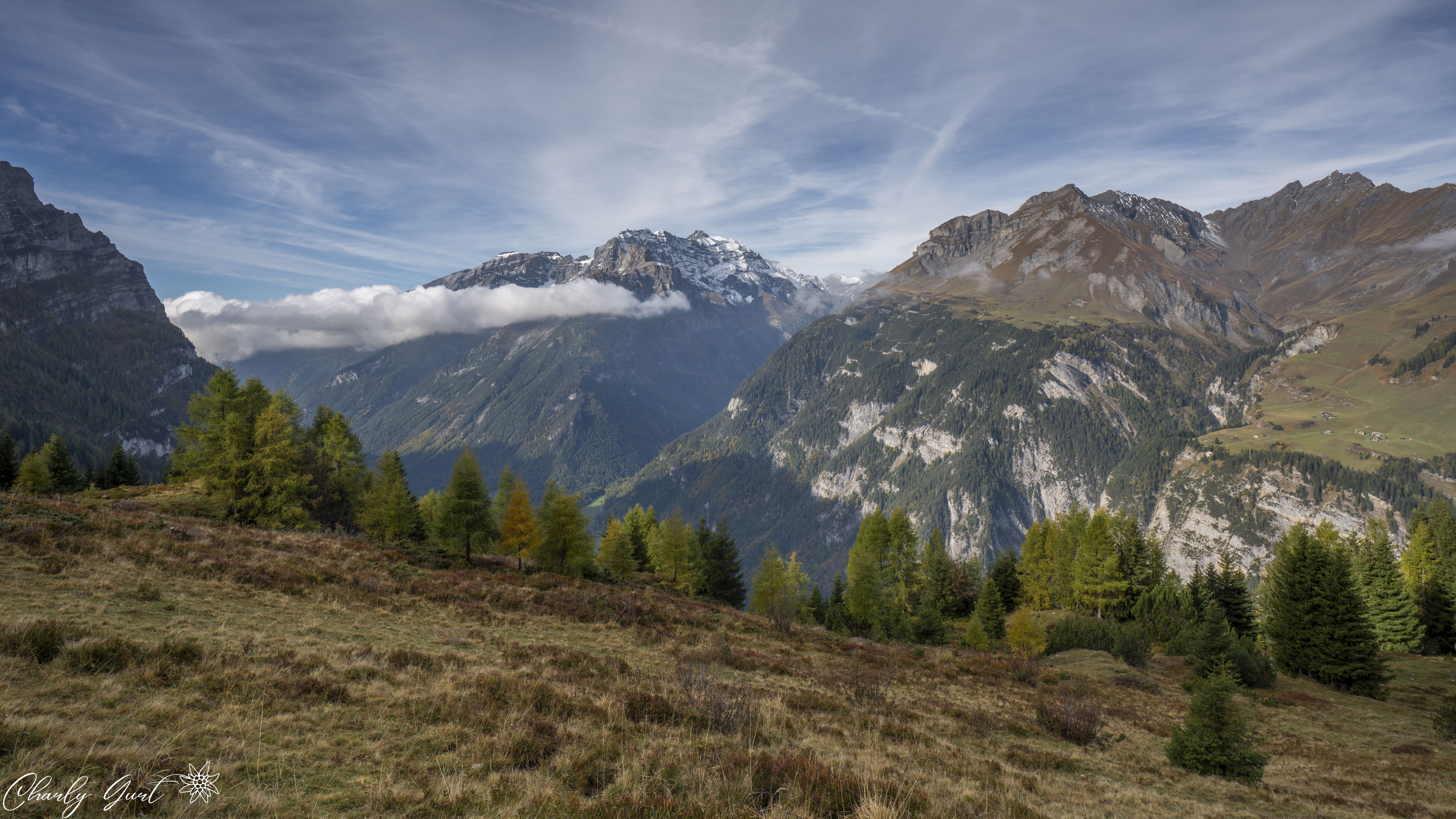 Die Stille