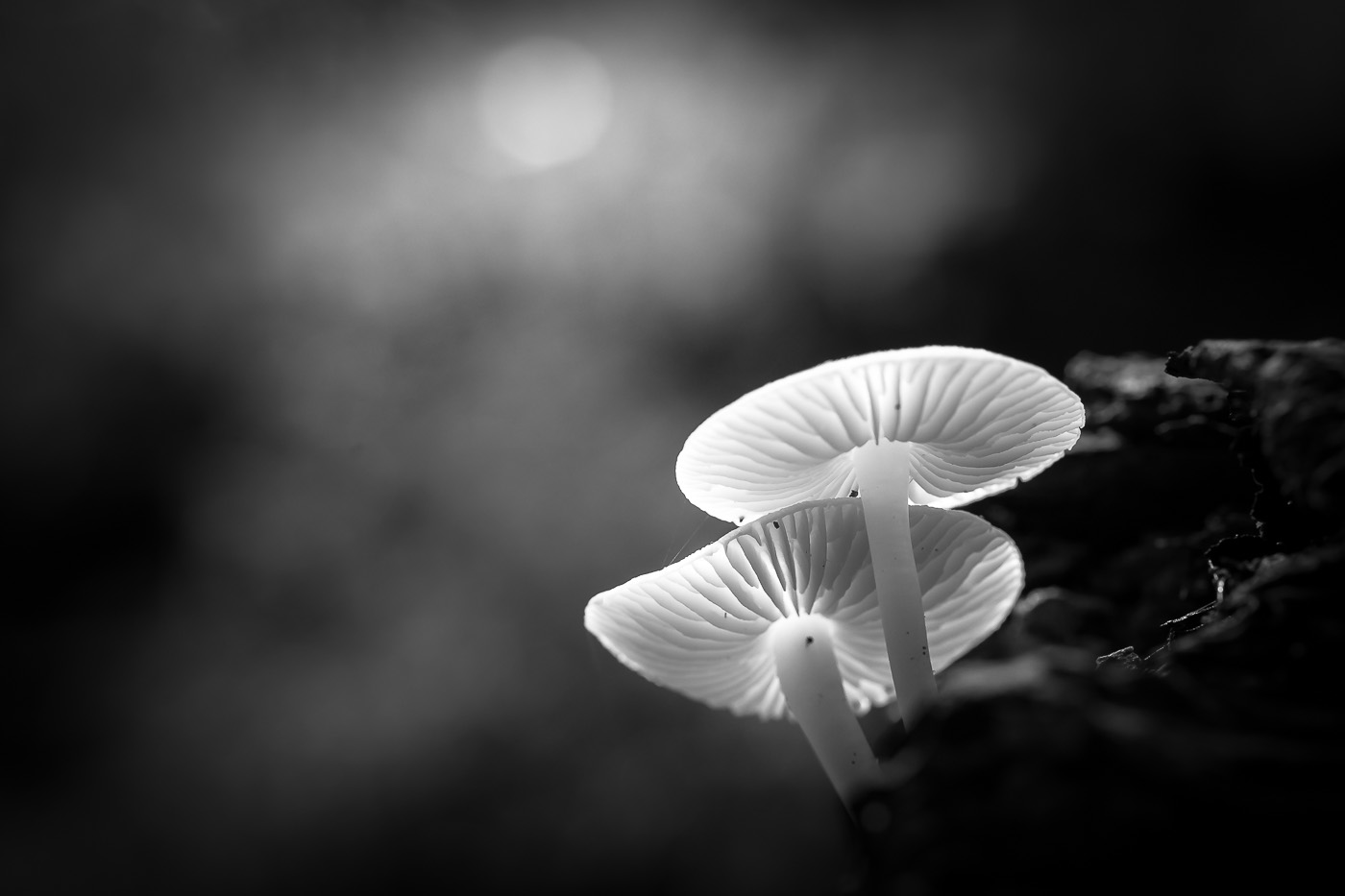 Einsam