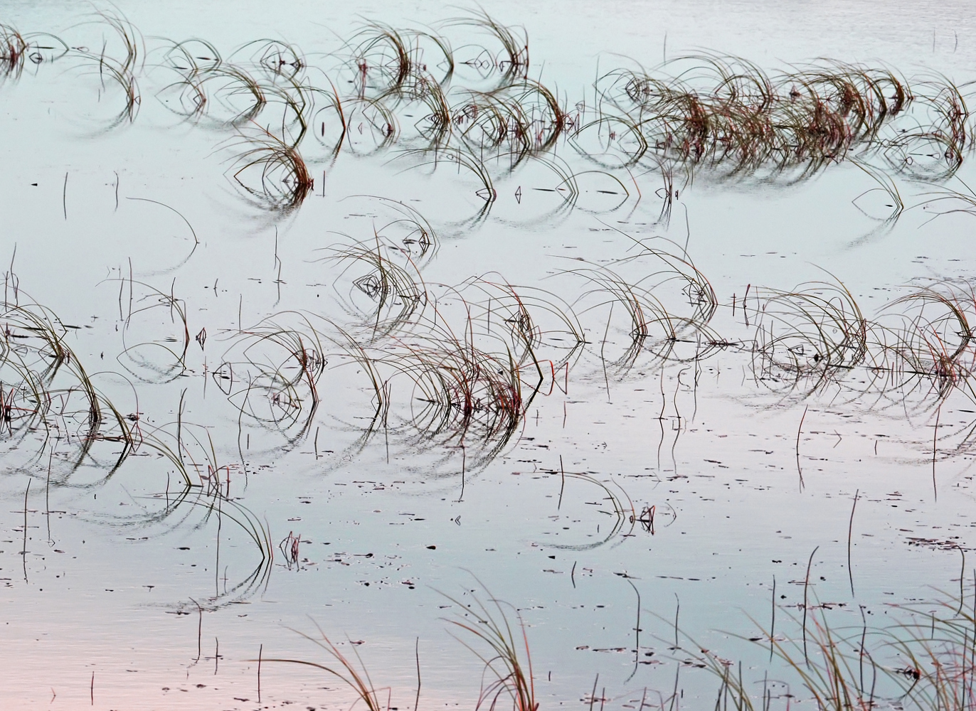 Gras im Loch