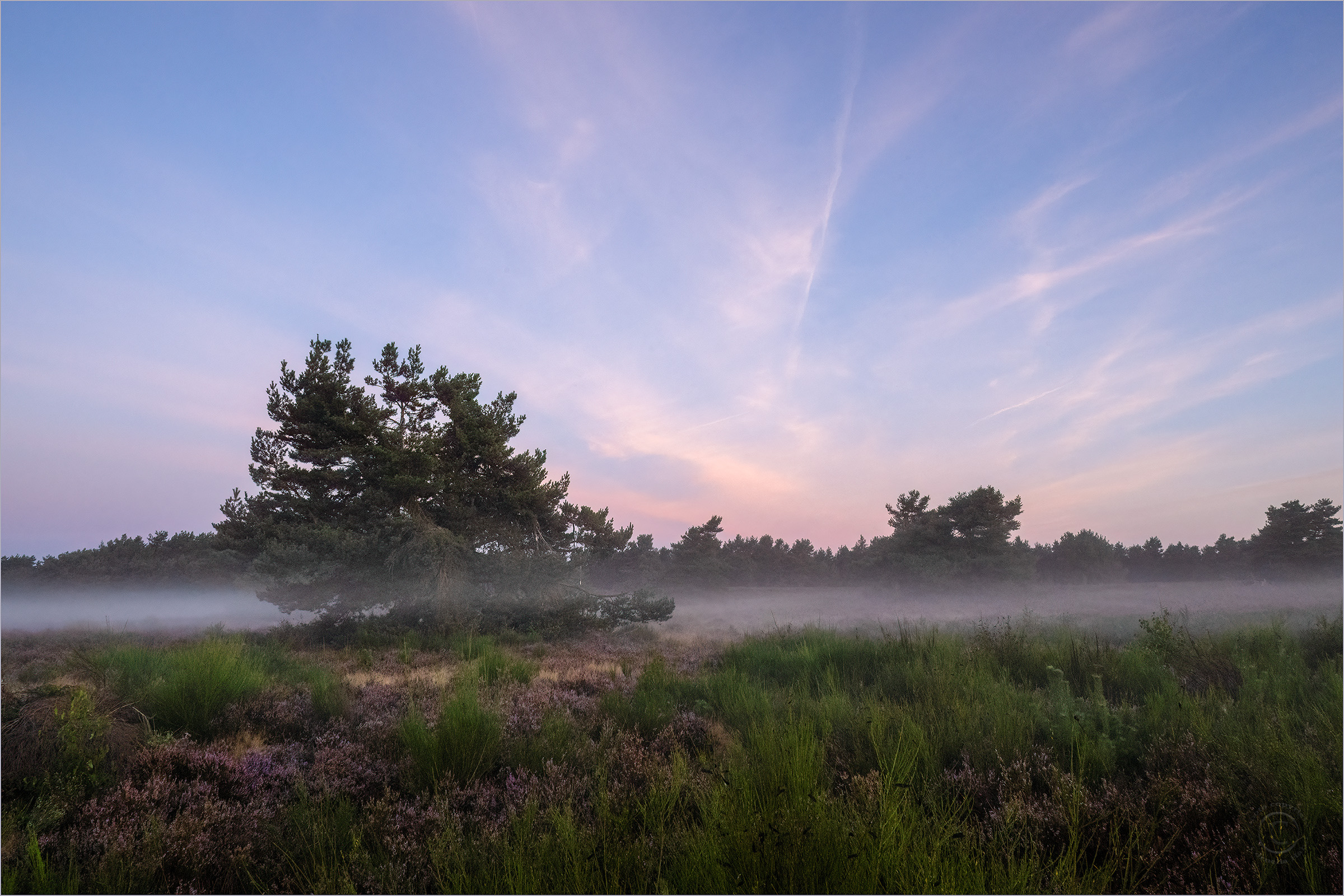 In der Heide
