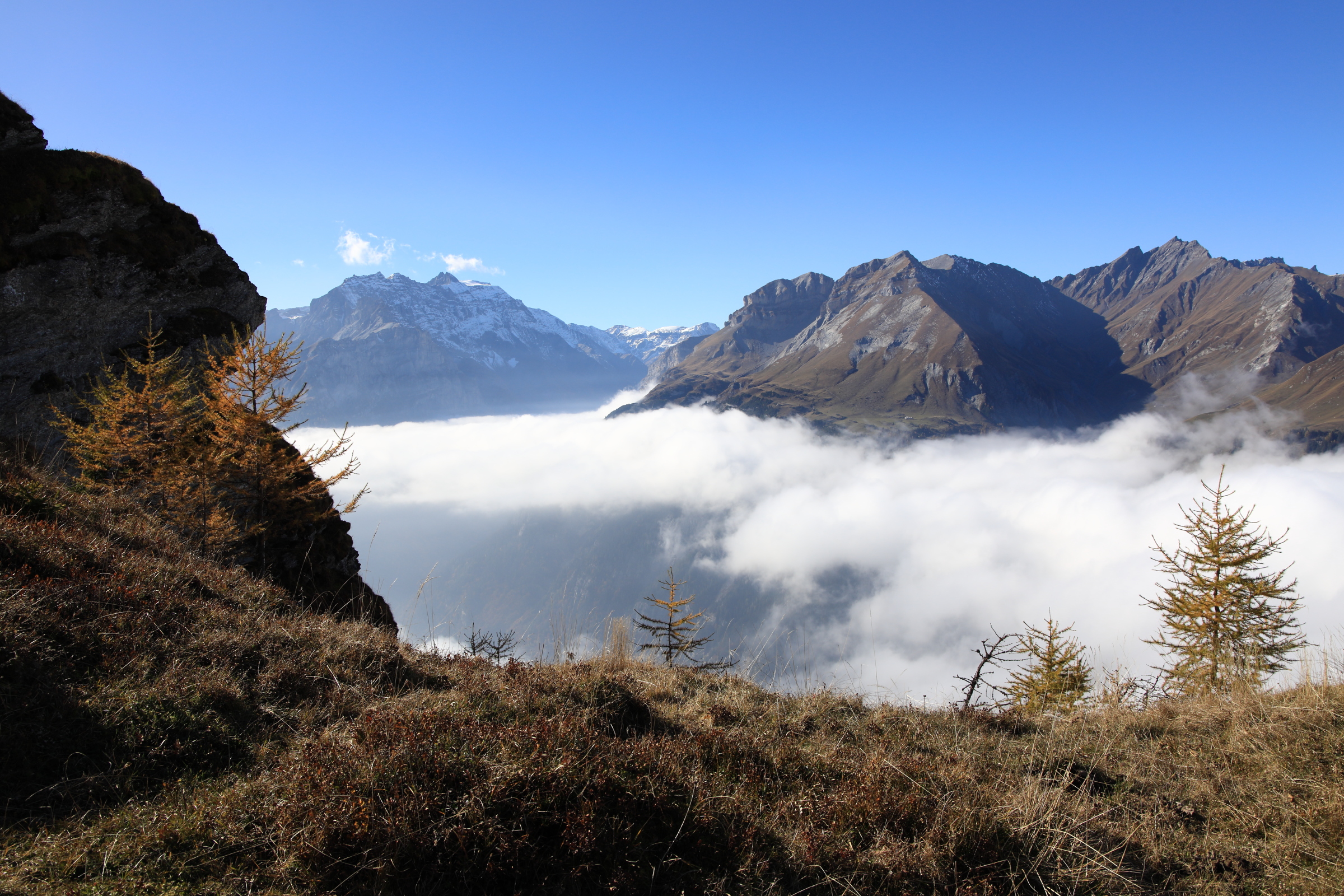 Herbststimmung