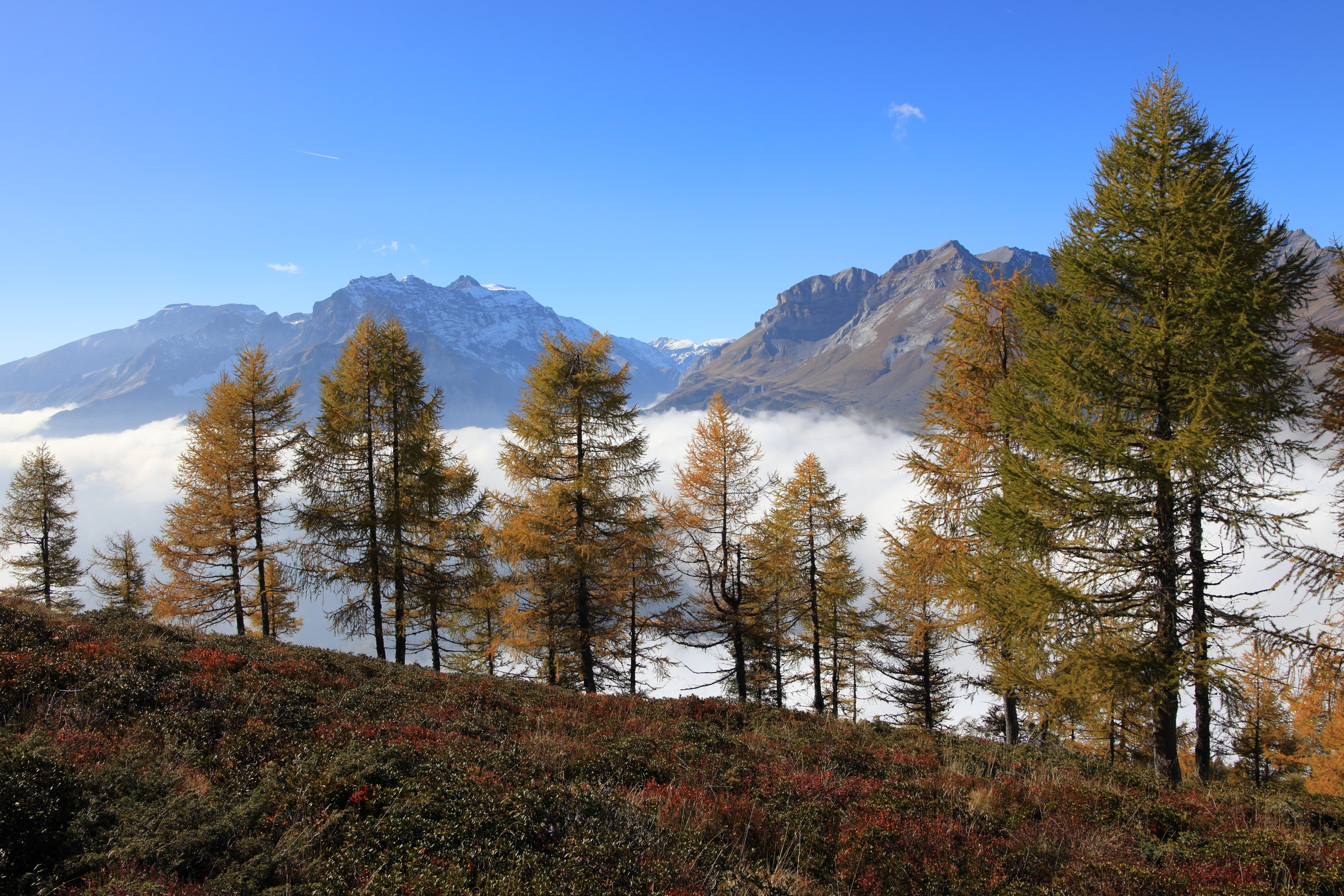 Herbststimmung II
