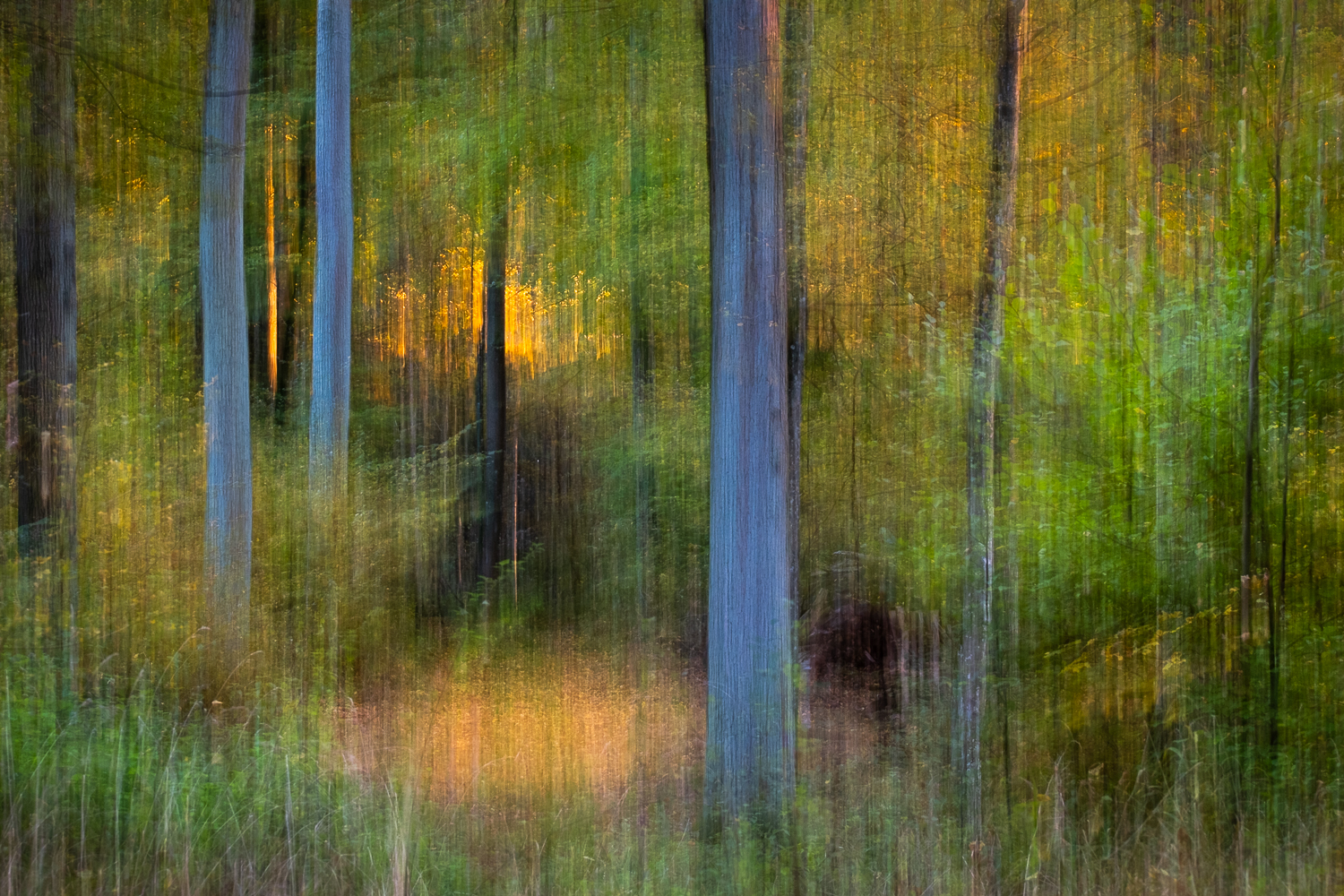 Herbstimpression