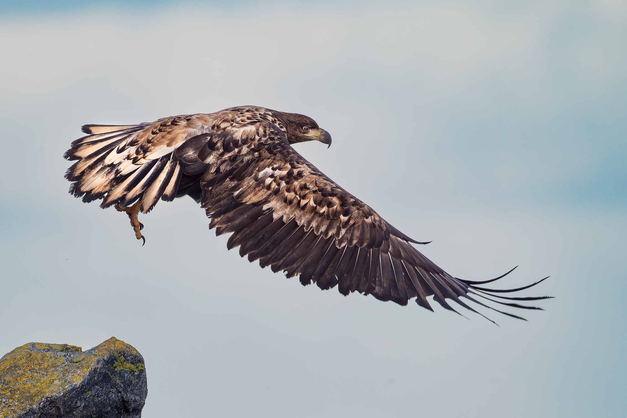 Abflug
