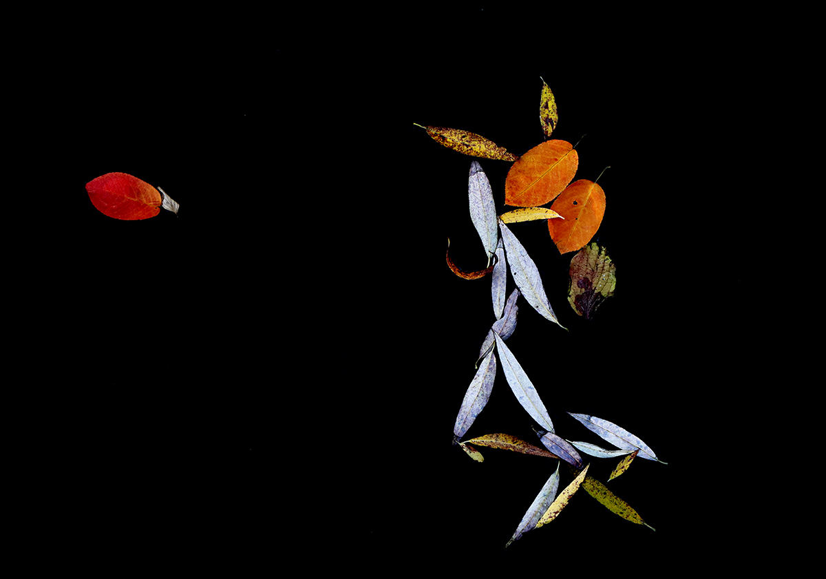 Herbstbastelei