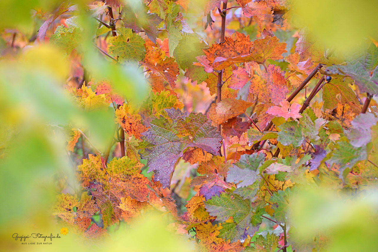Herbst ...