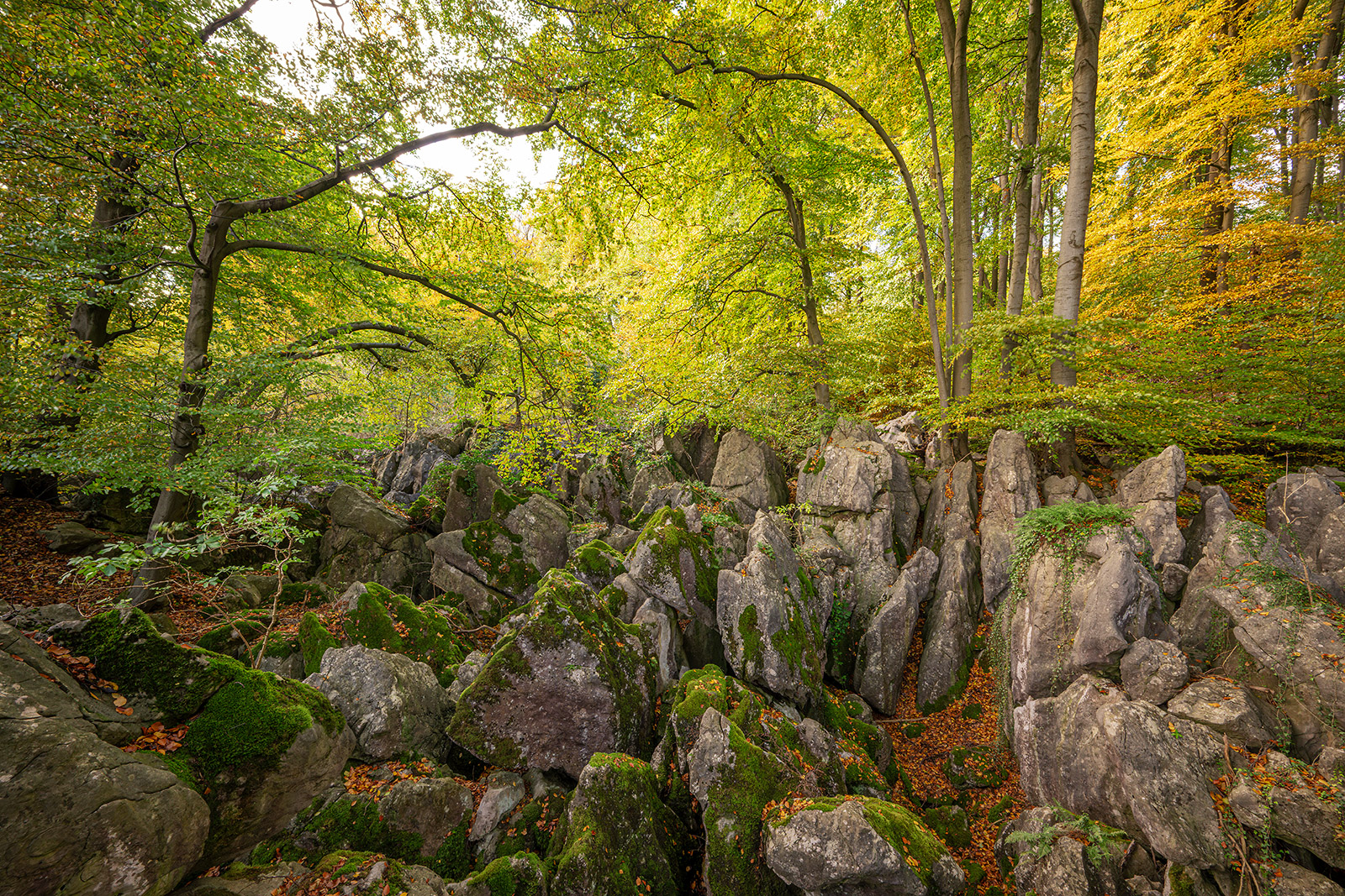 Felsenmeer