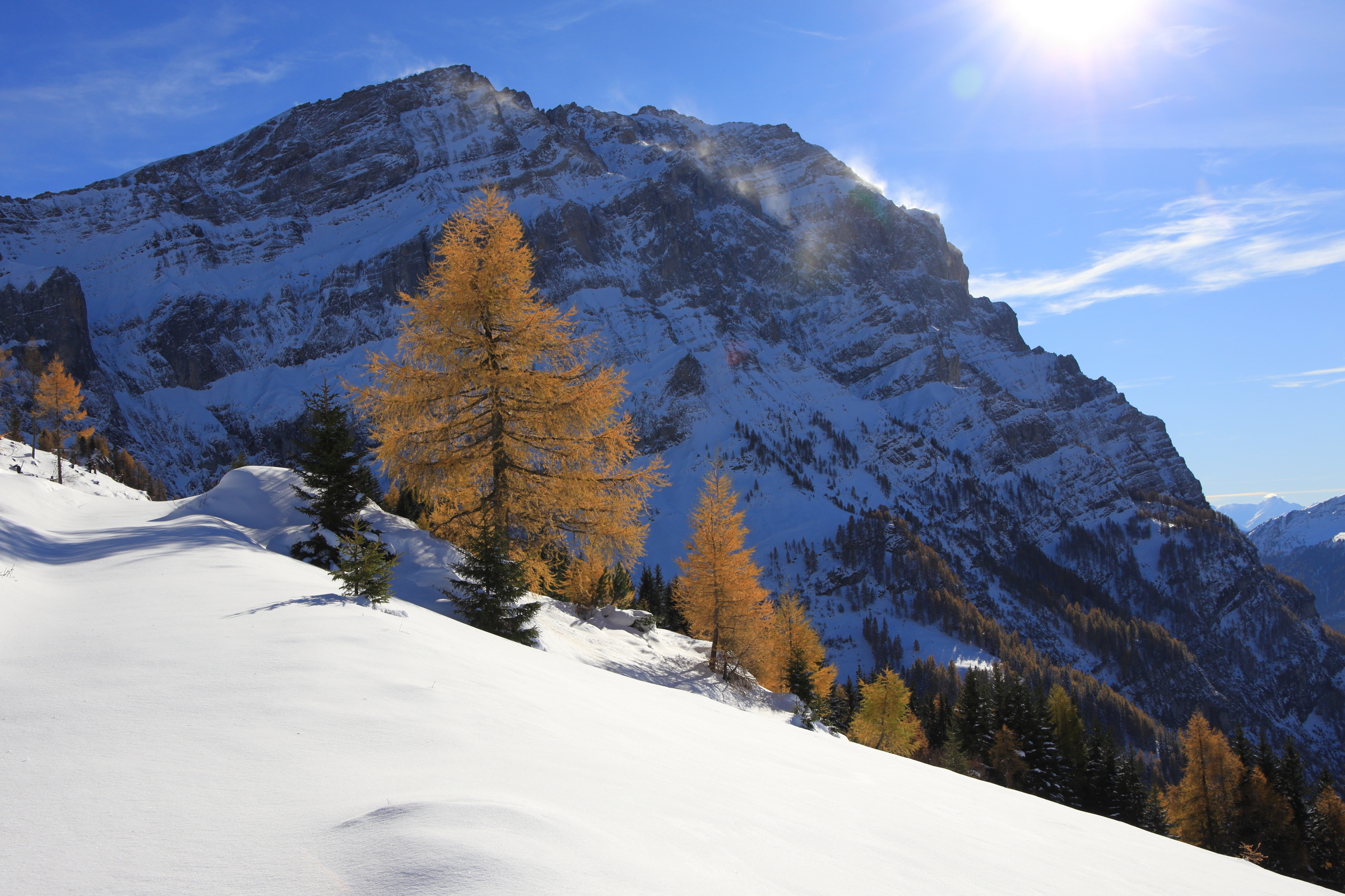 Sonne pur