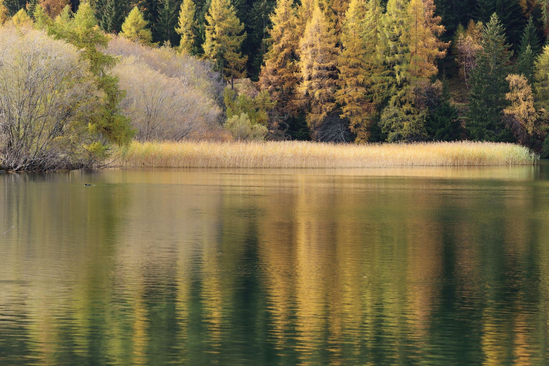 Herbstfarben