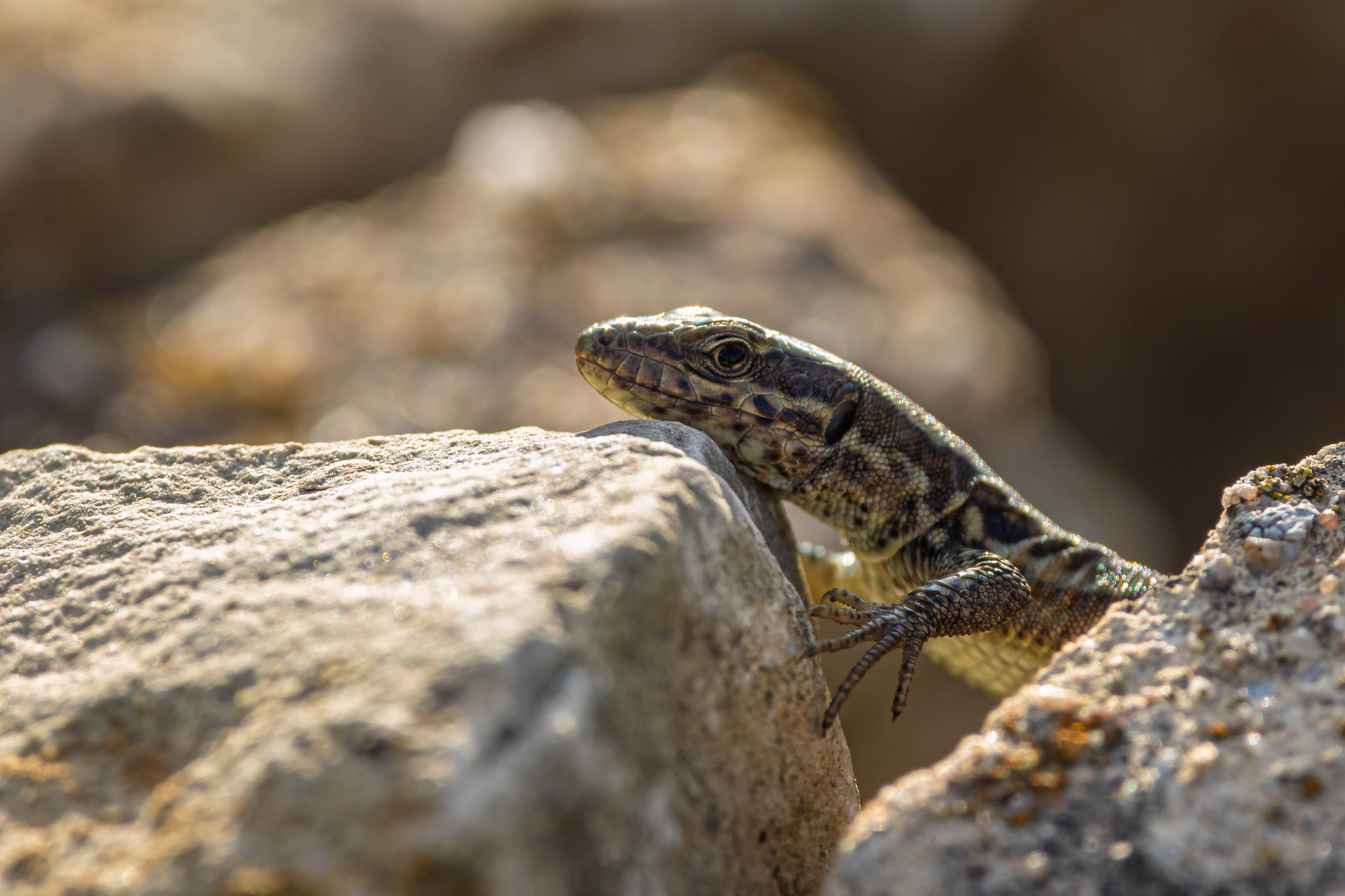 Einfach mal abhängen