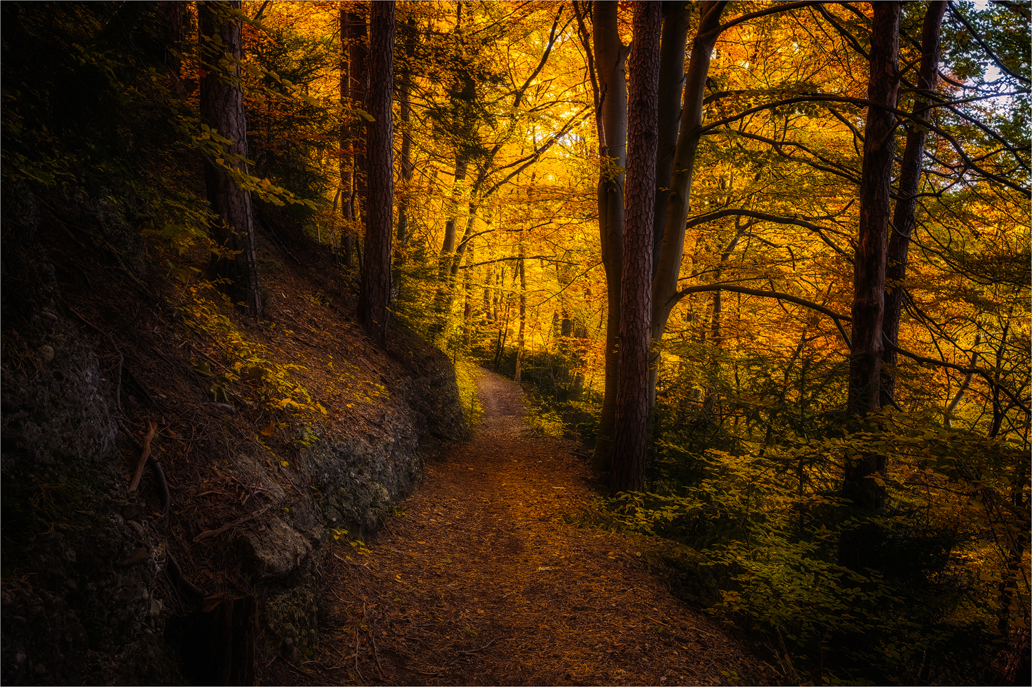 Goldener Oktober ...