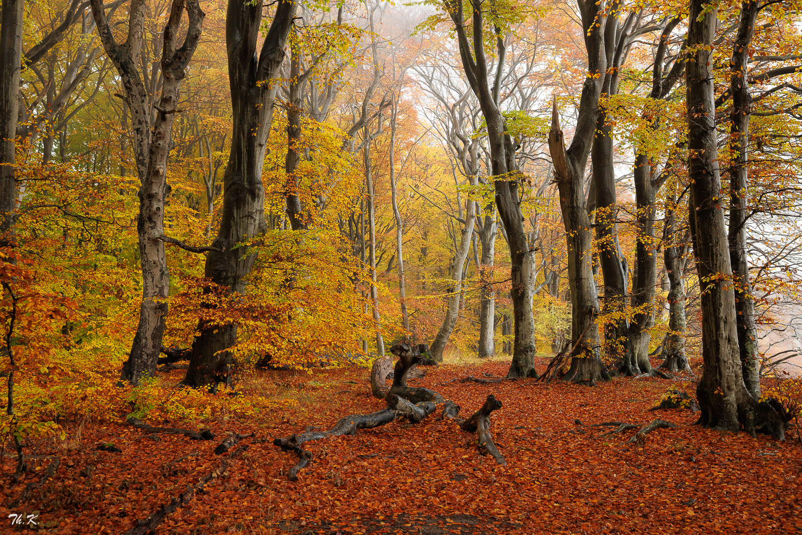 Einfach Herbst ...