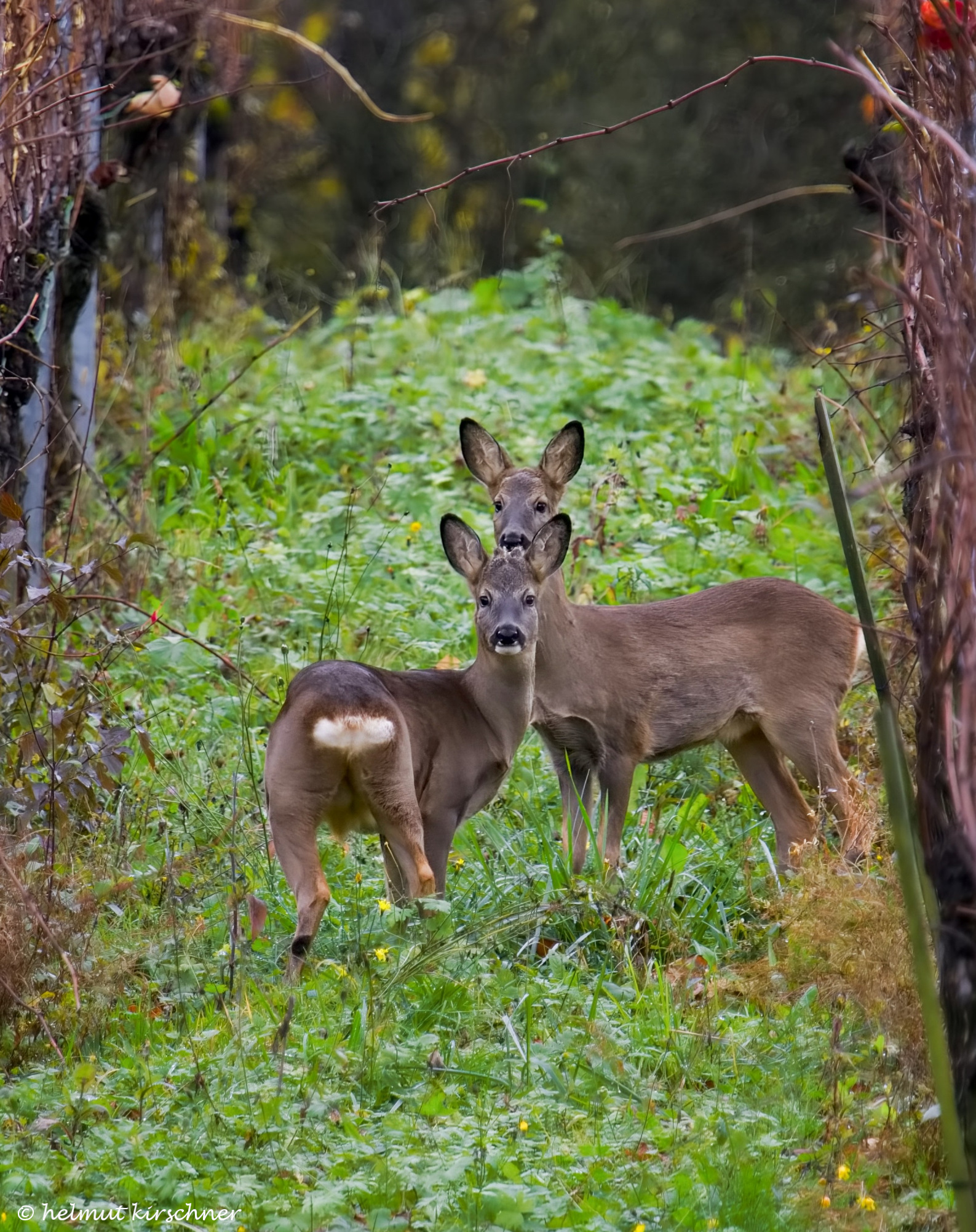 4 Augen...