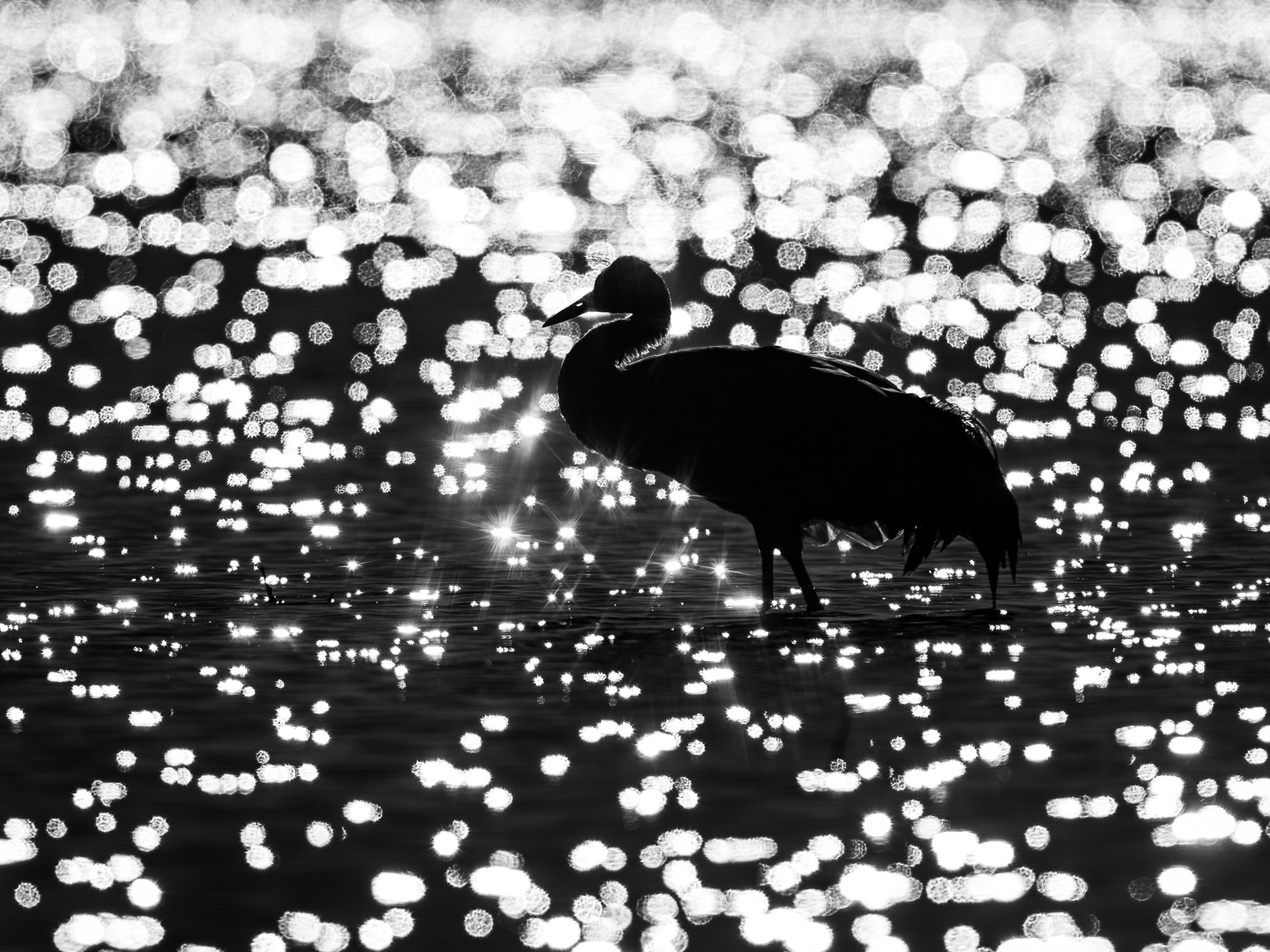 Glitzermeer