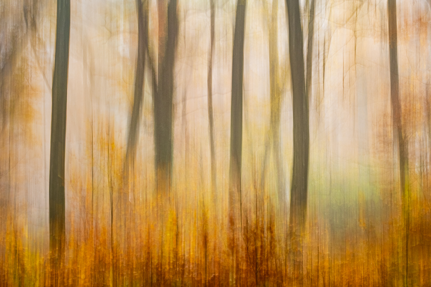 Herbstwald-Wischer