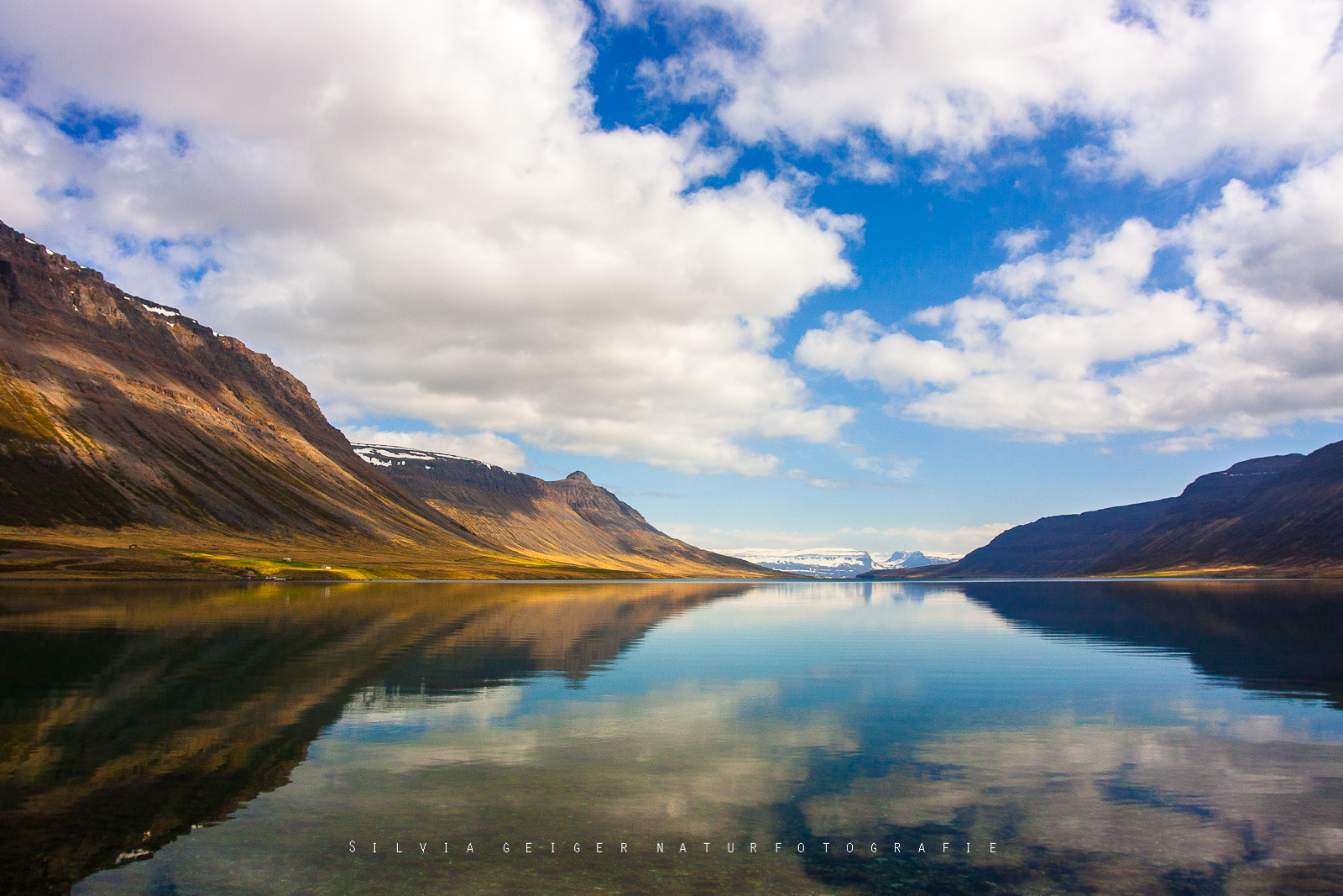 Westfjorde