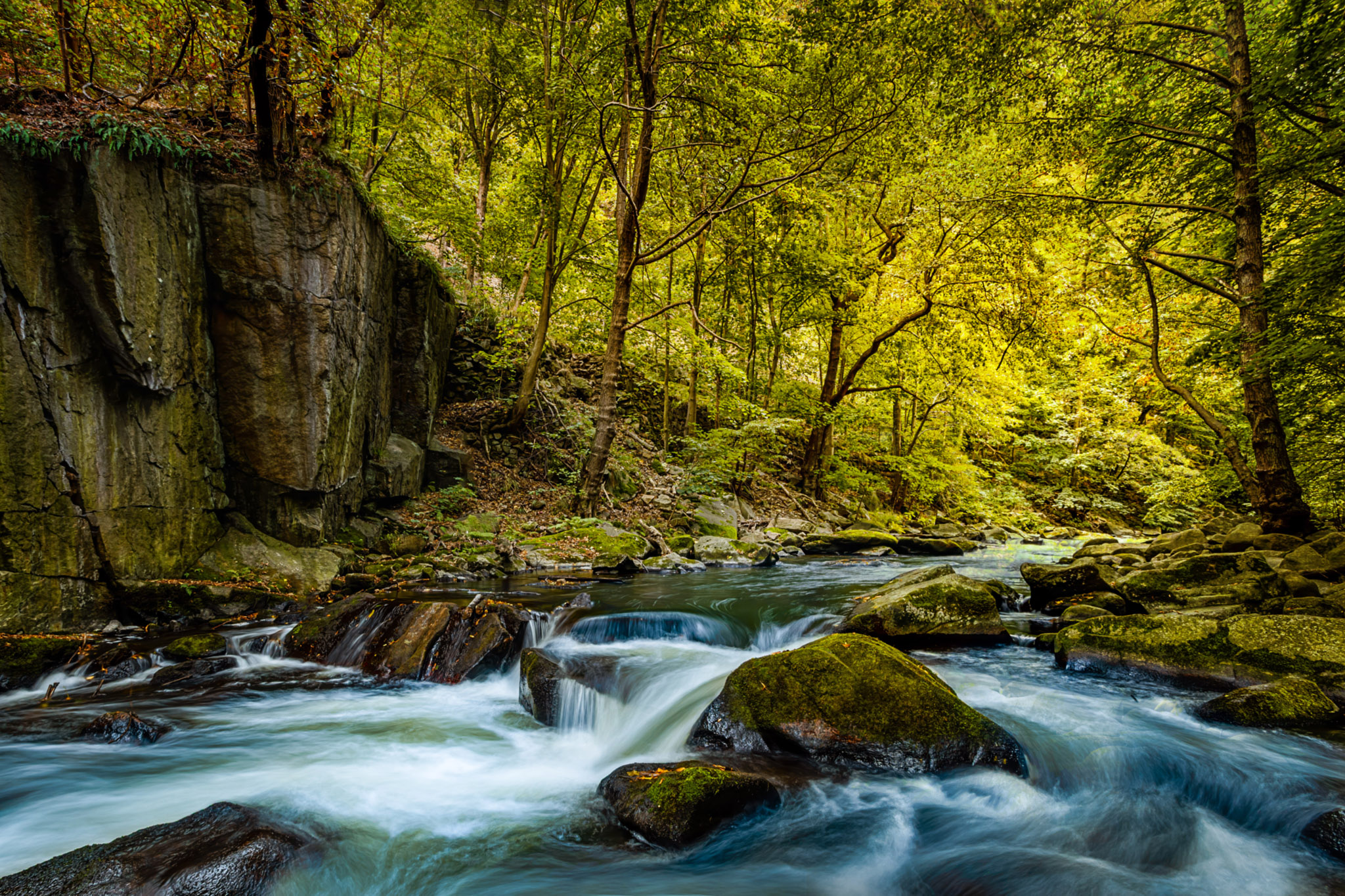 Wasserkraft