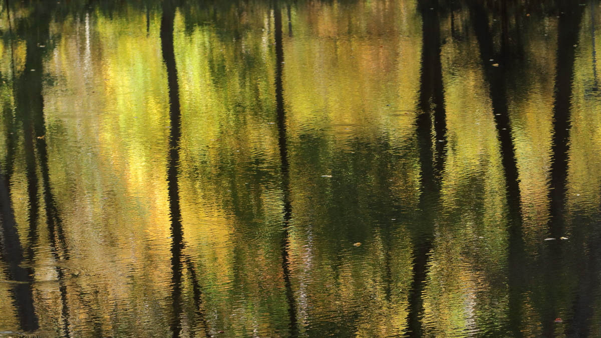 Eine Herbstimpression