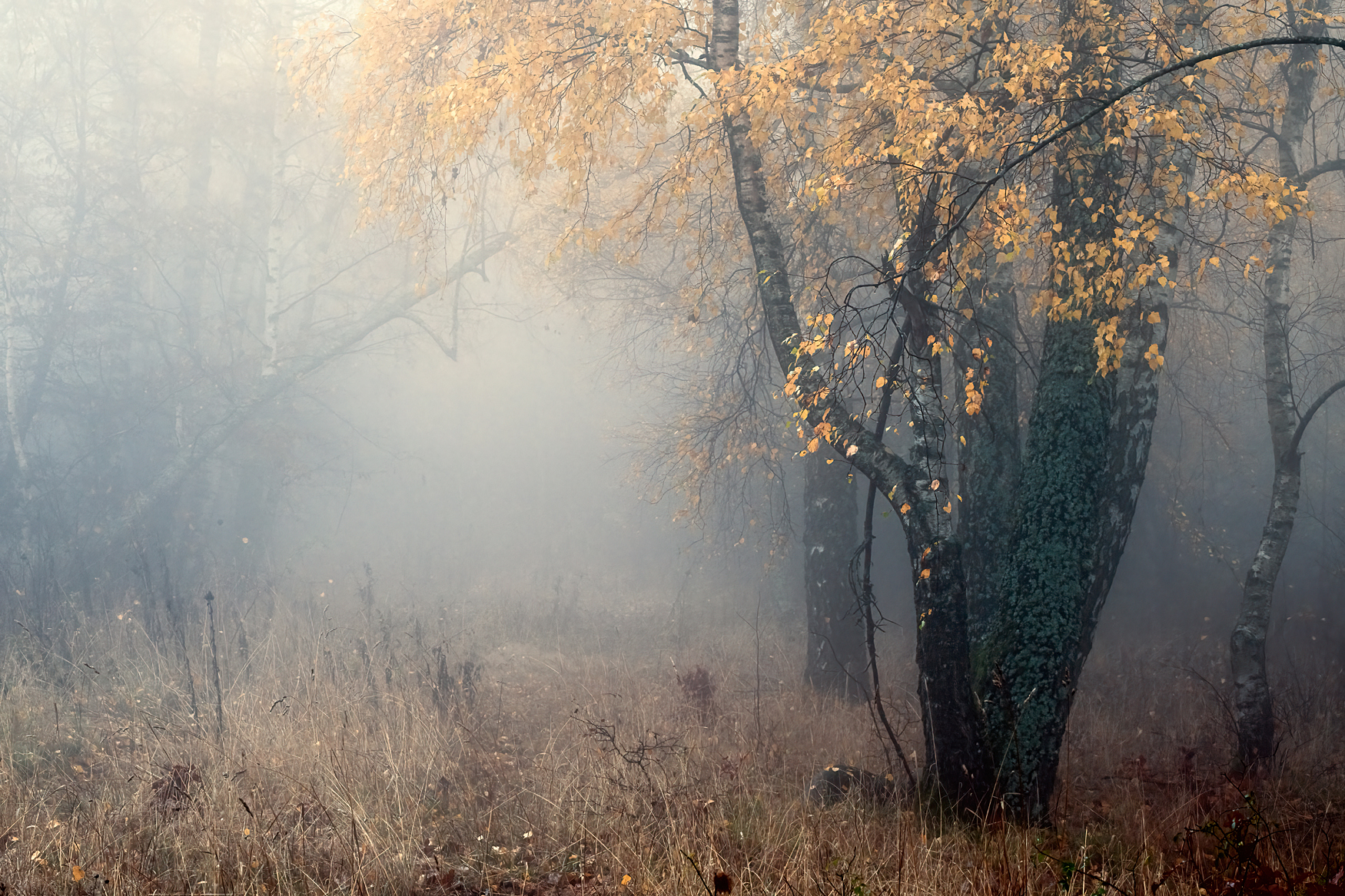 Blick ins Ungewisse ...