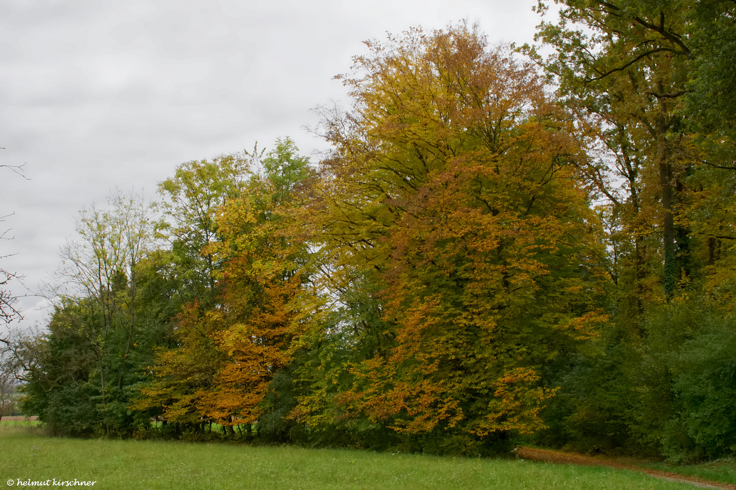 ein trüber Herbsttag
