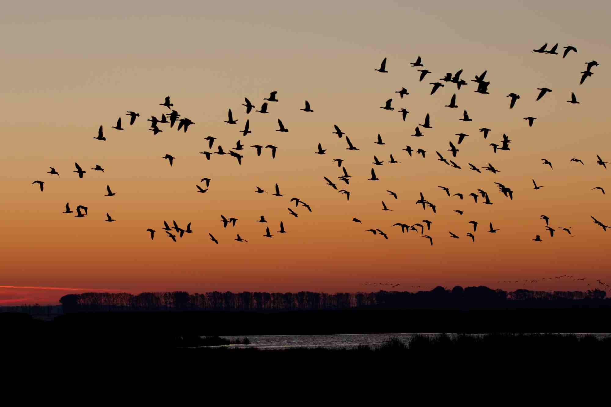 morgens am Bodden