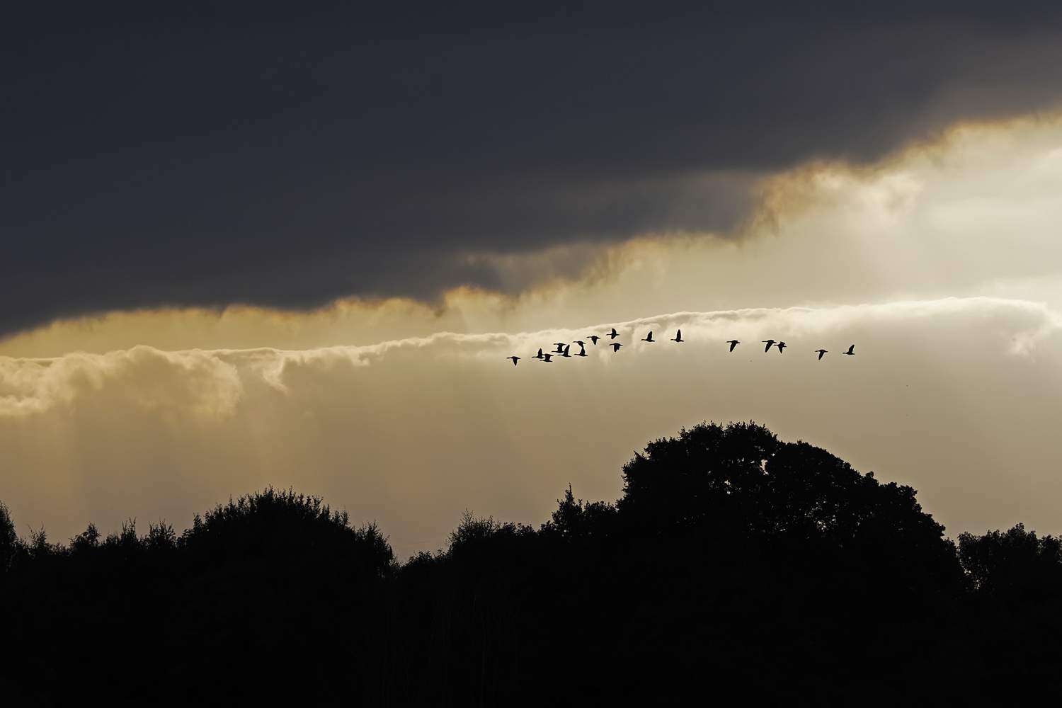 Derzeit ein gewohnter Anblick...
