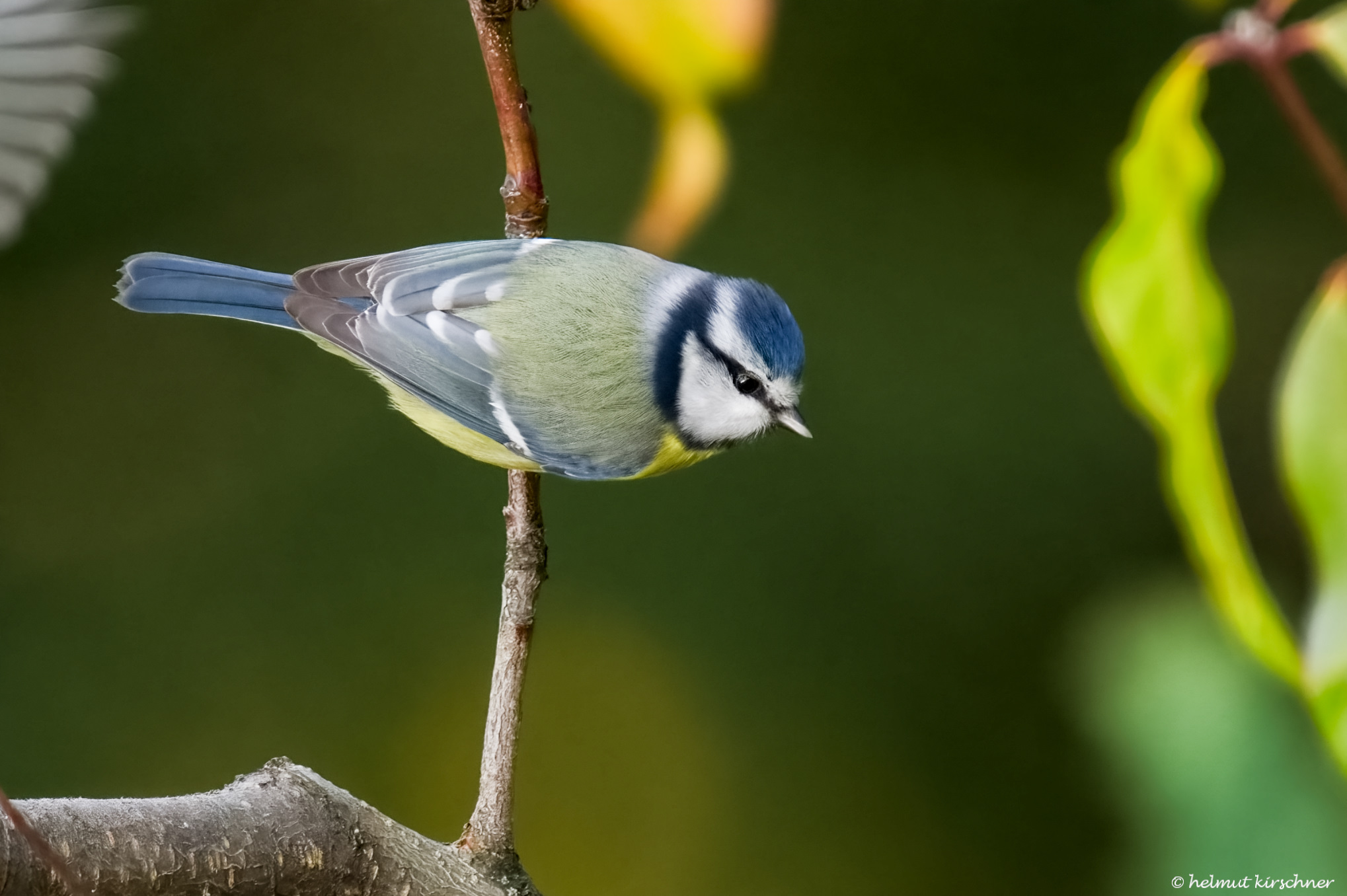 ein schöner Rücken..