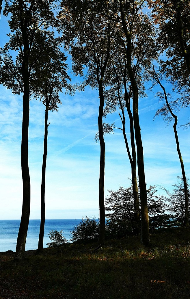 Hoch über der Ostsee