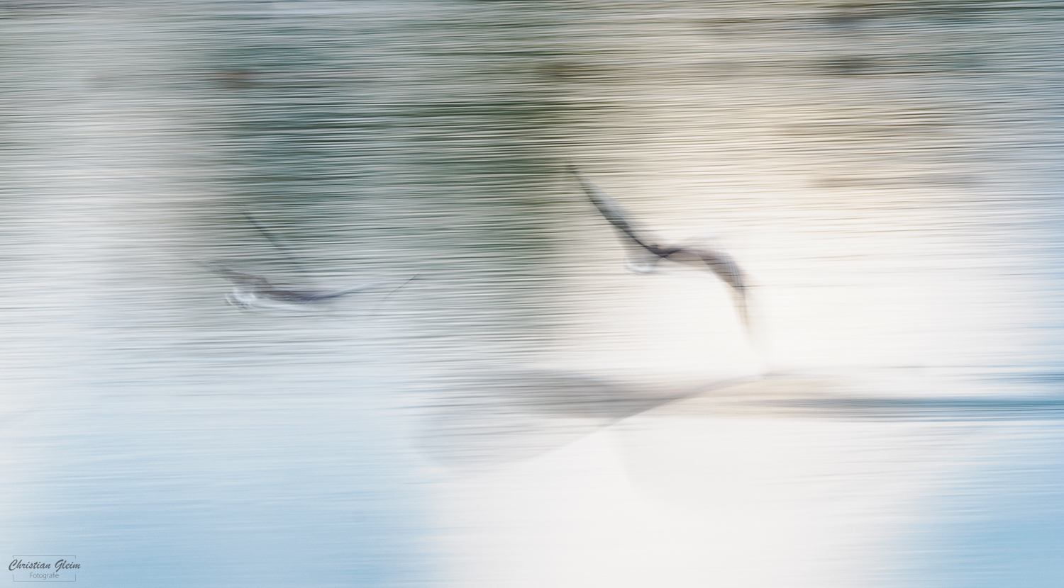 Geisterflieger