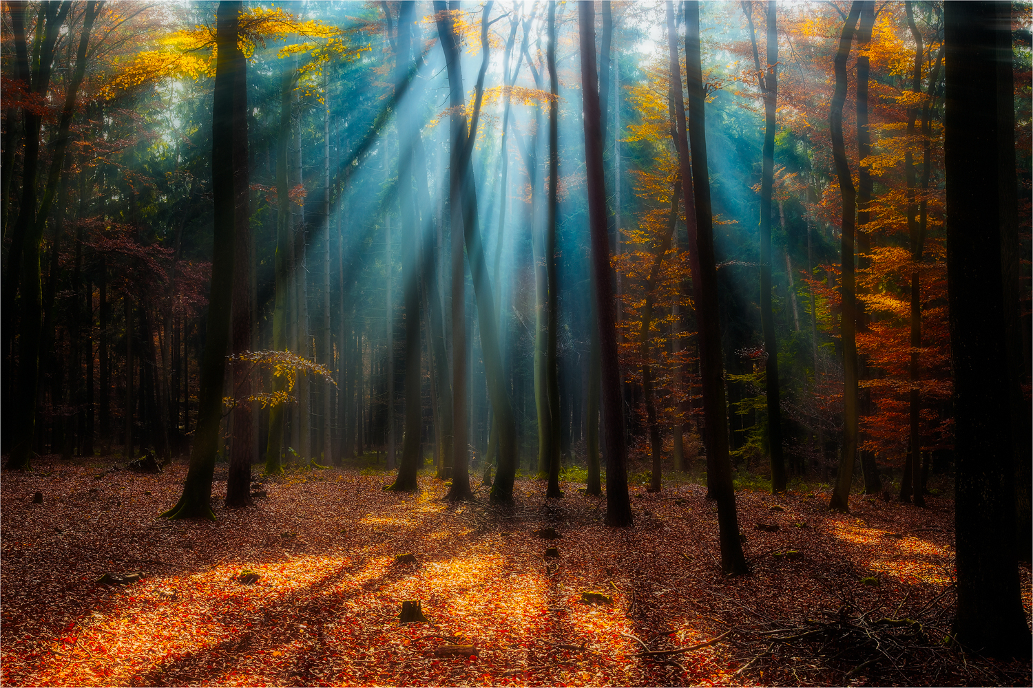 Zentrales Sonnenlicht ...