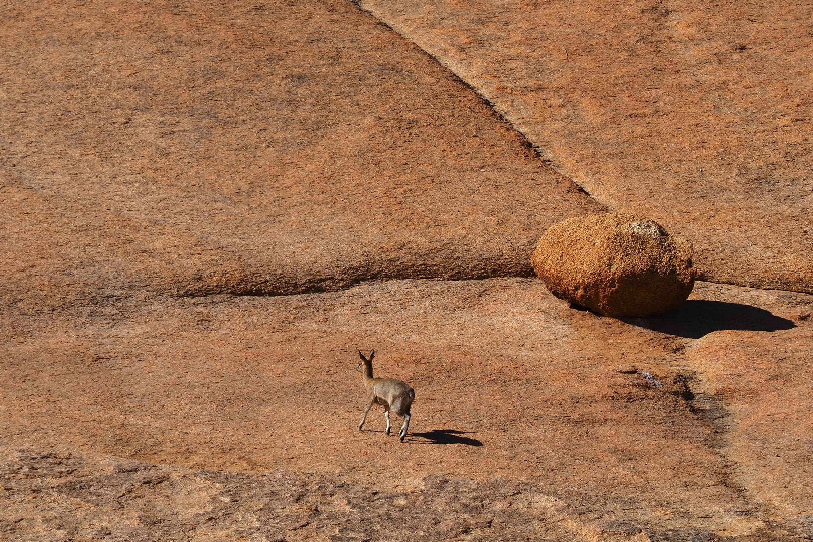 An der Spitzkoppe