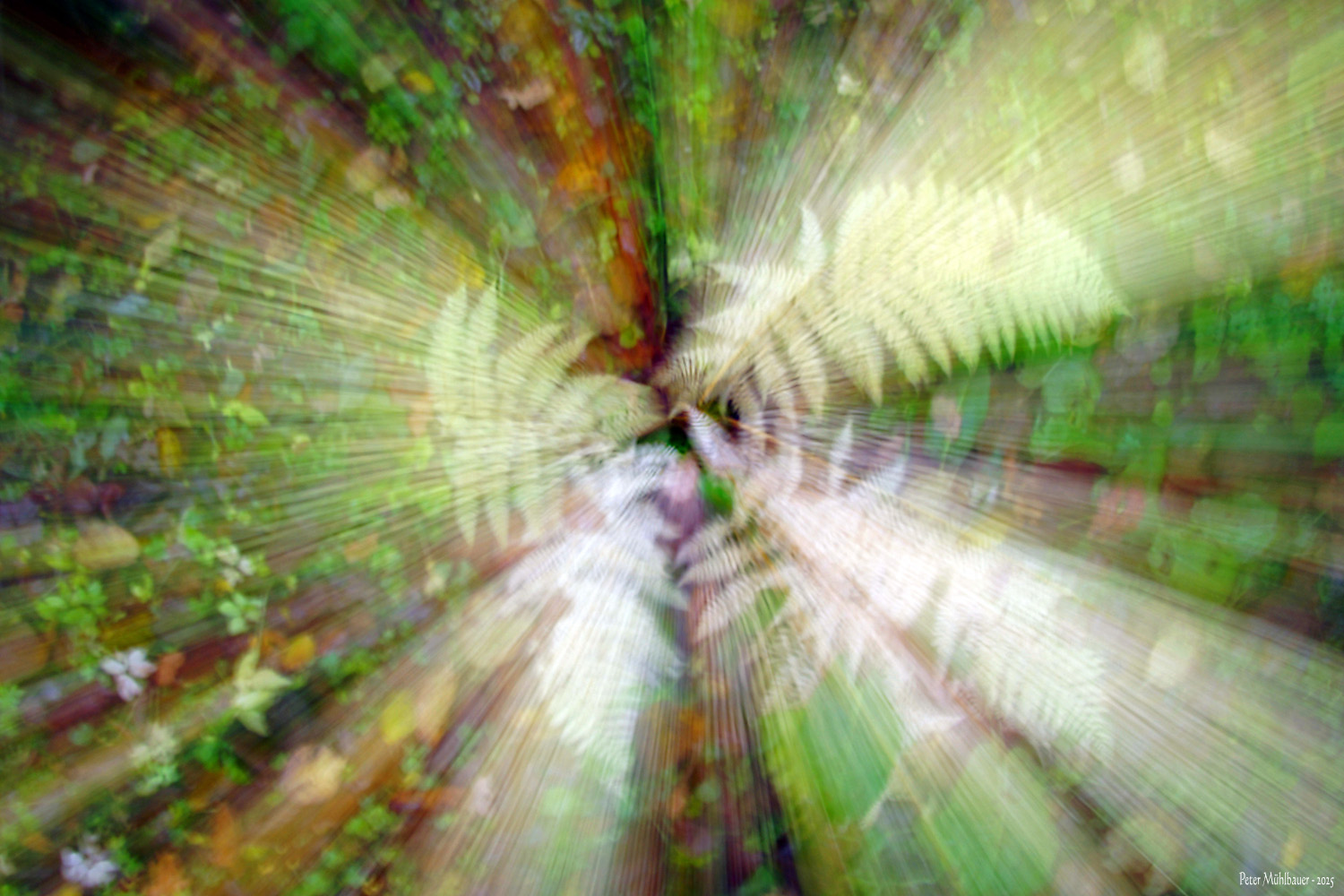 Weißer Farn gewischt