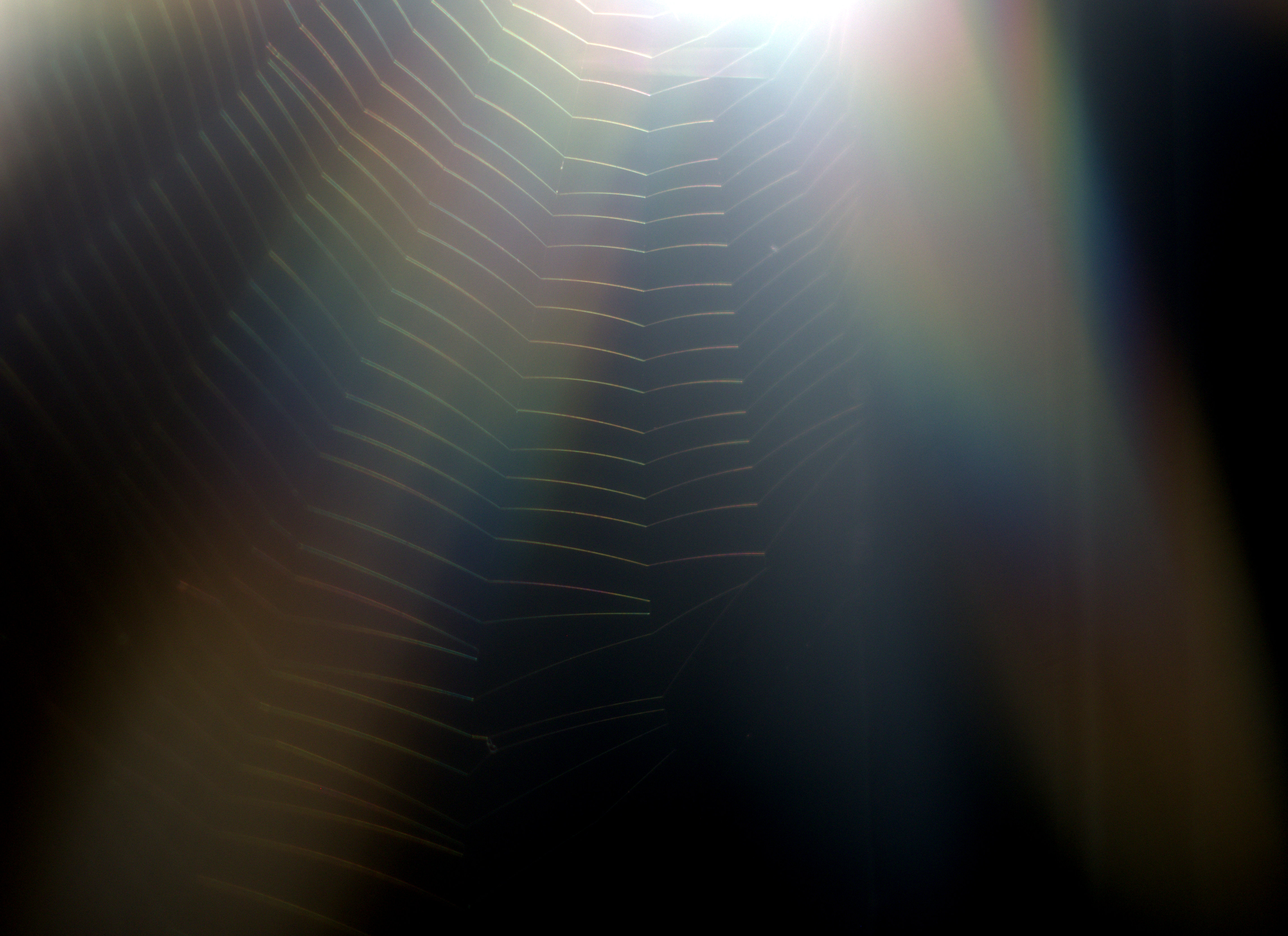 Darknet