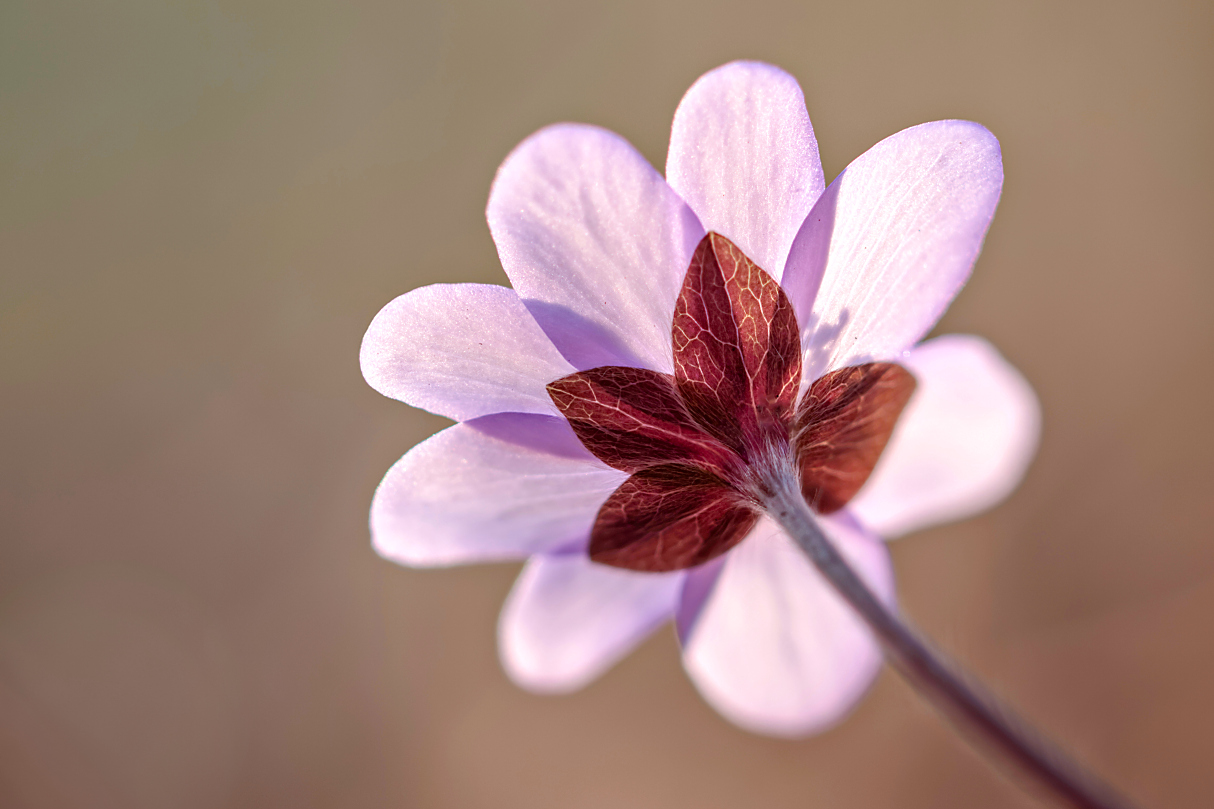 Mal von unten geschaut