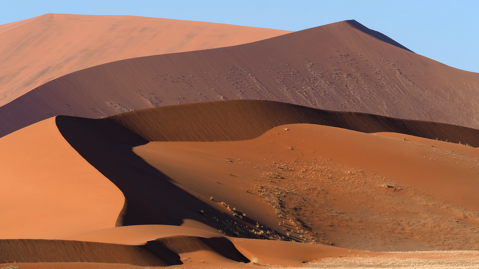 Hier kann man sich aufwärmen!