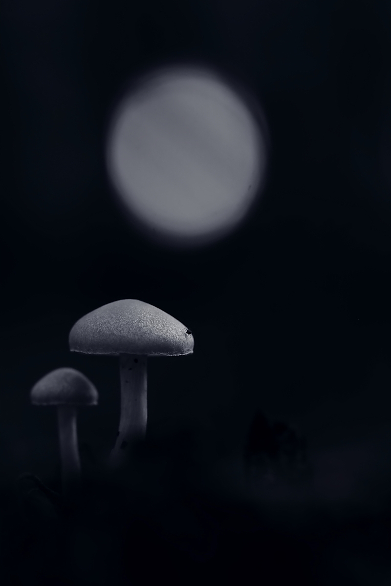 Nacht