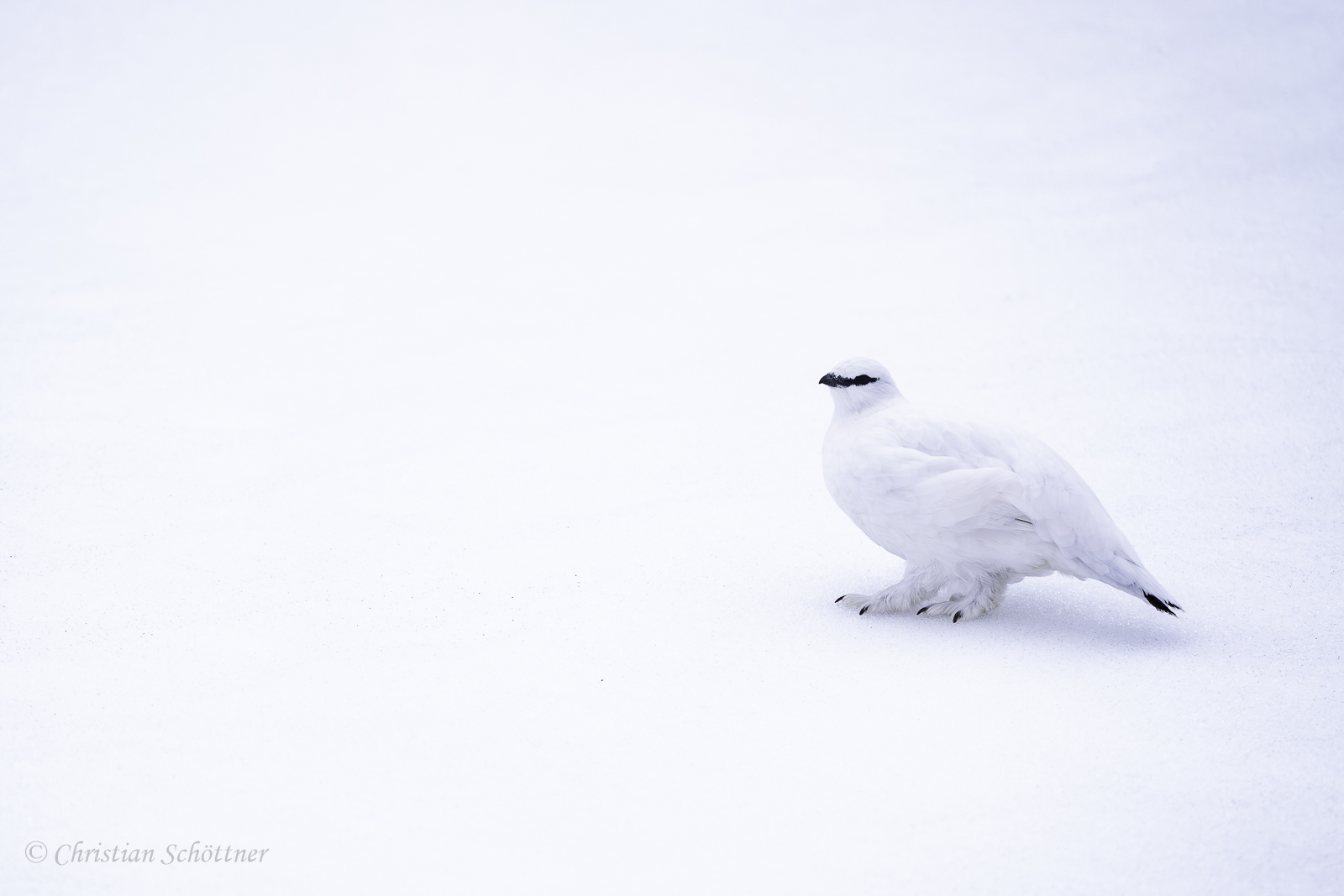 Gar nicht so leicht zu finden