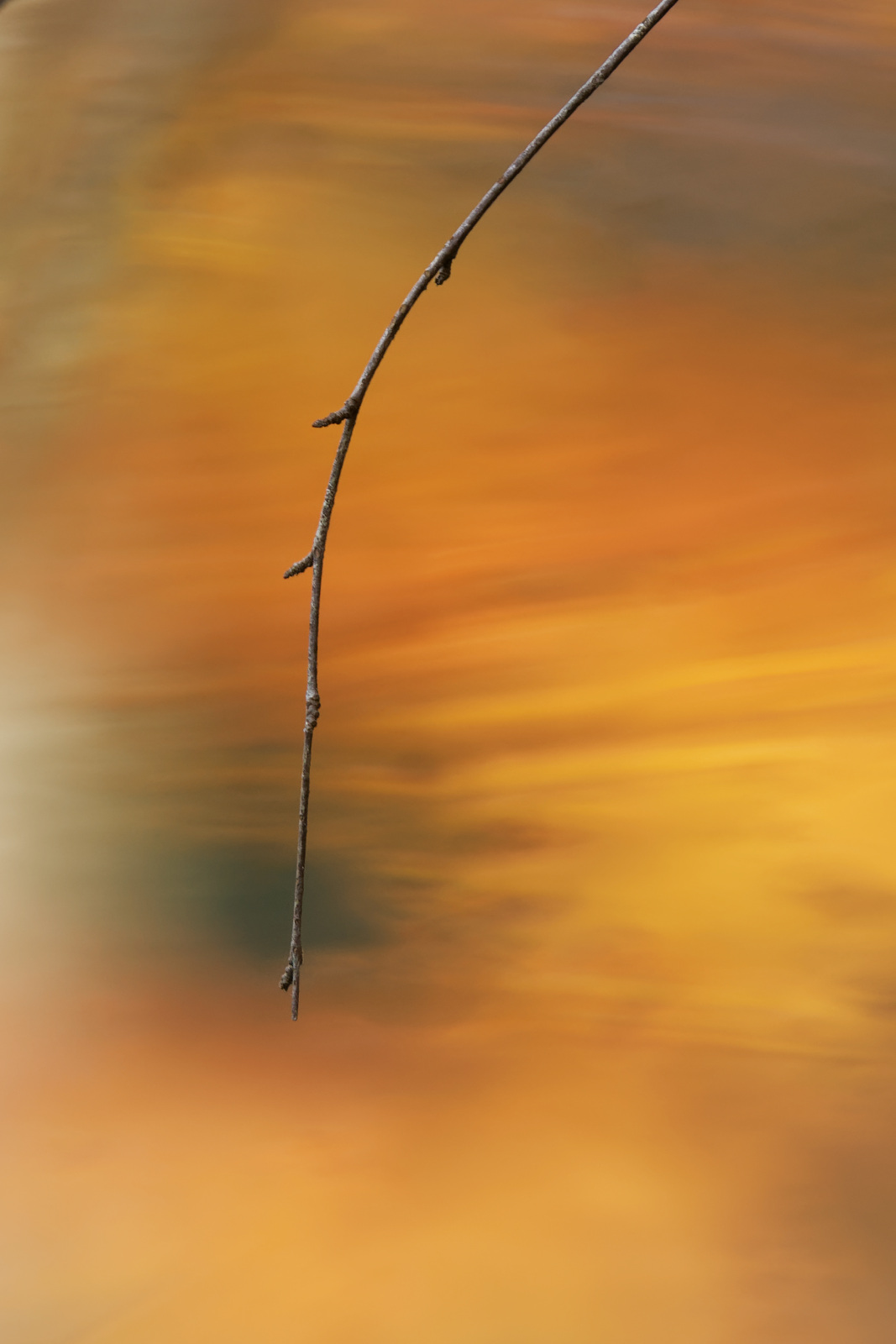 Herbstfarben