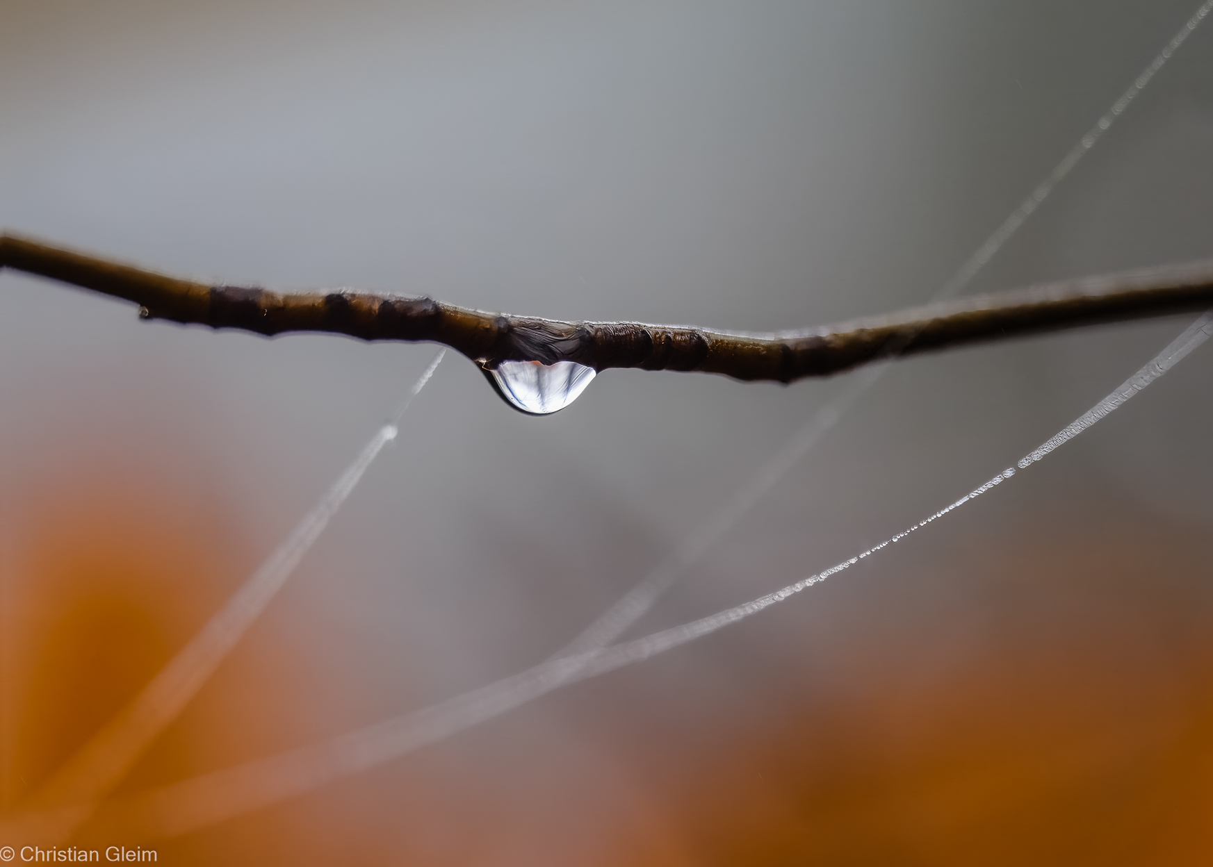 Farben im Nebel
