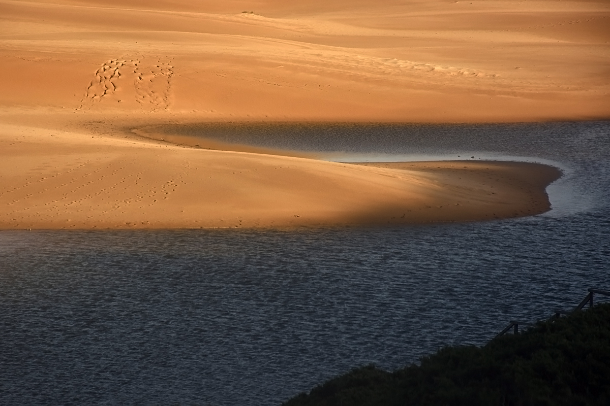Spuren im Sand