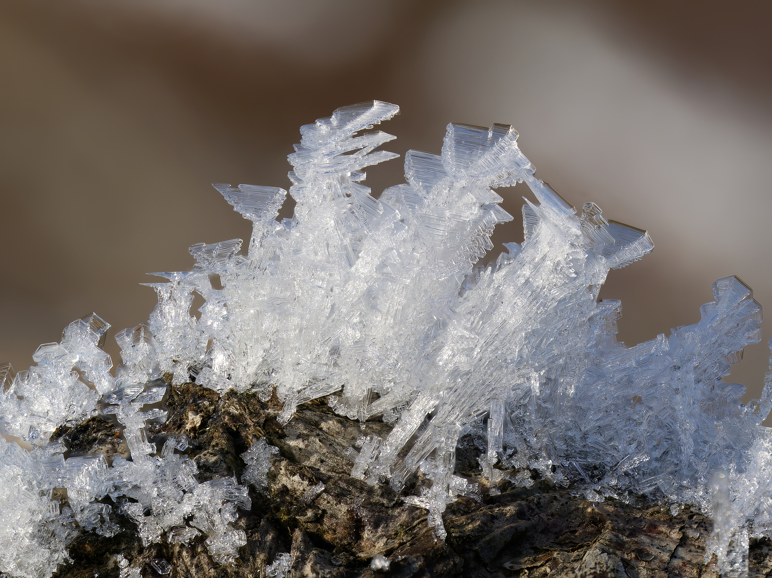 Nach einer eiskalten vergangenen Nacht