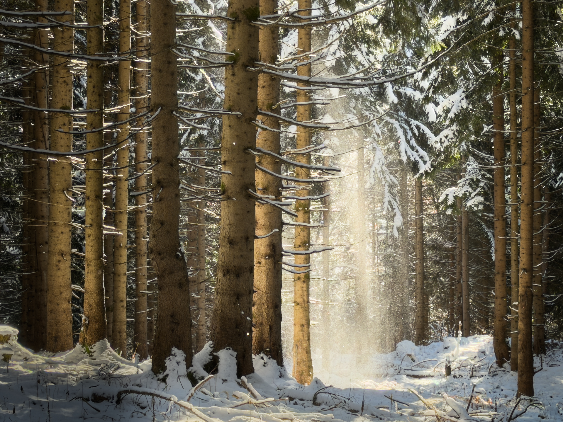 Winterstimmung